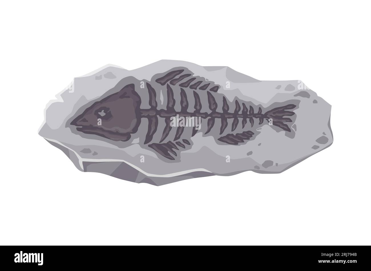 Dinosaur fossil, ancient fish skeleton stone imprint. Prehistoric sea animal vector silhouette in gray rock. Cartoon underwater fossil of paleontology museum, fish skeleton with head, bones and tail Stock Vector