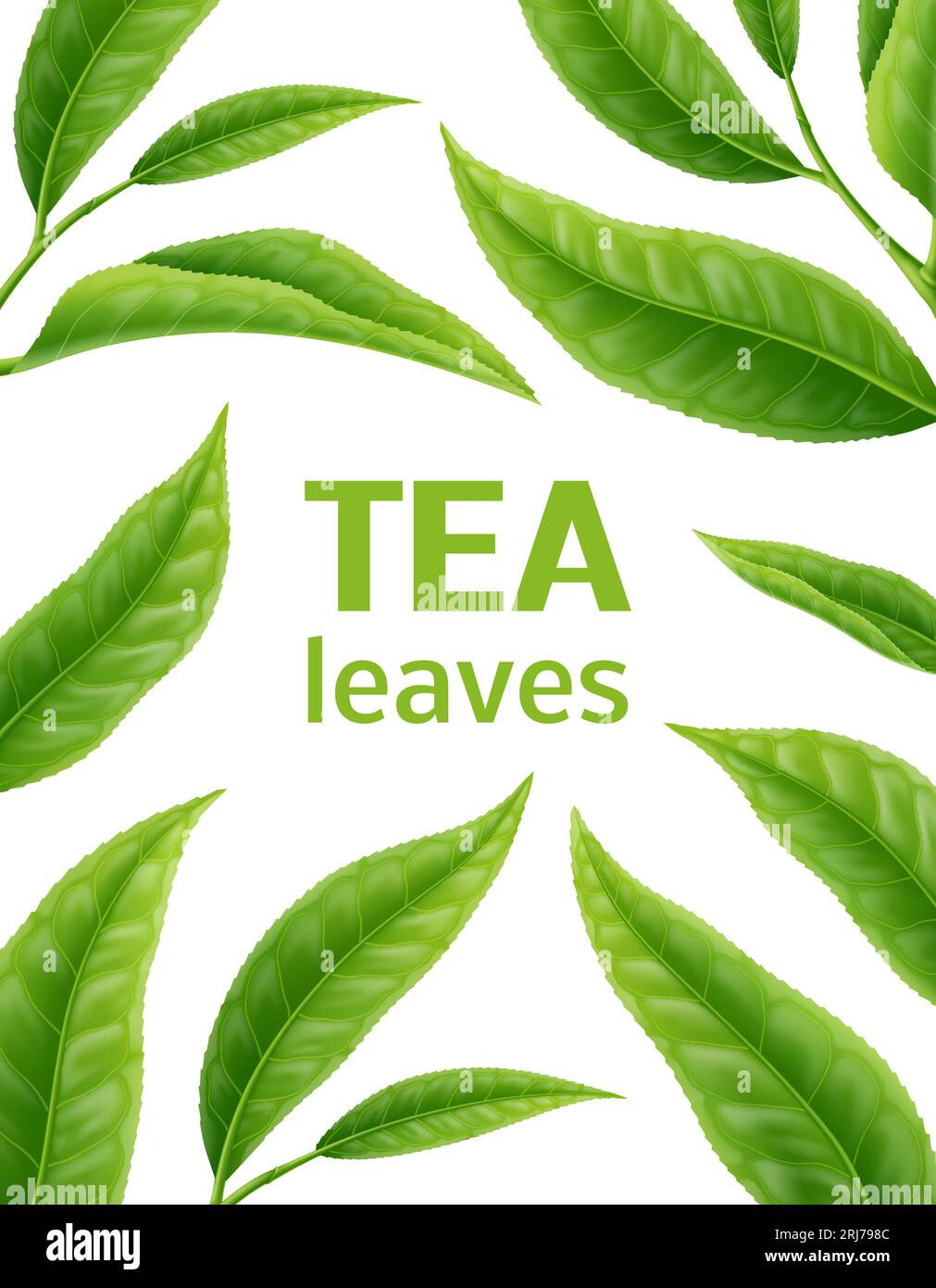 Realistic tea leaves background with vector green leaves and tree branches. Tea foliage 3d backdrop, eco garden, organic plantation and farm plants for natural drink, matcha hot beverage, cosmetic oil Stock Vector