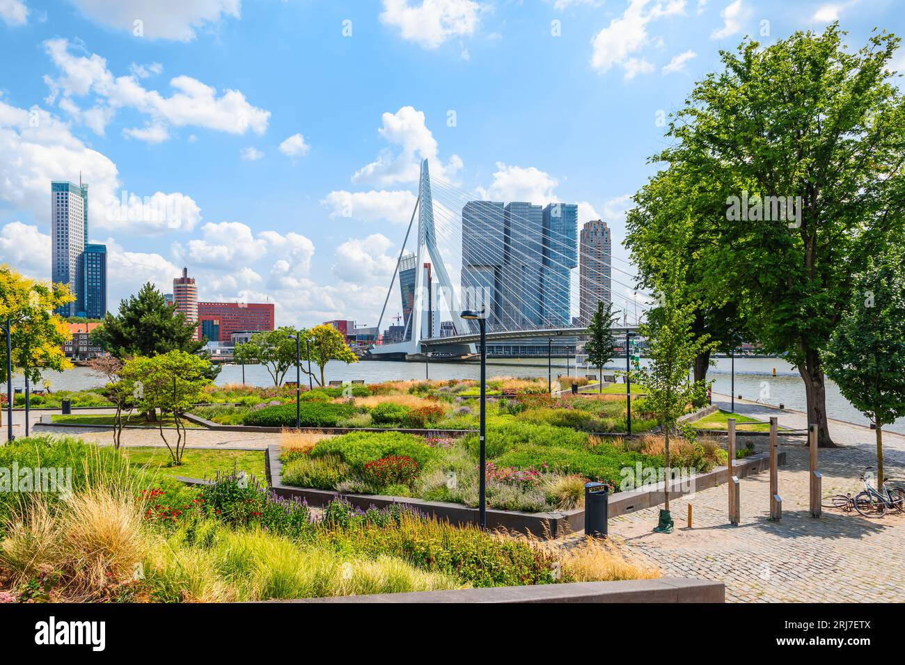 Rotterdam skyline and city park at the river Stock Photo Alamy