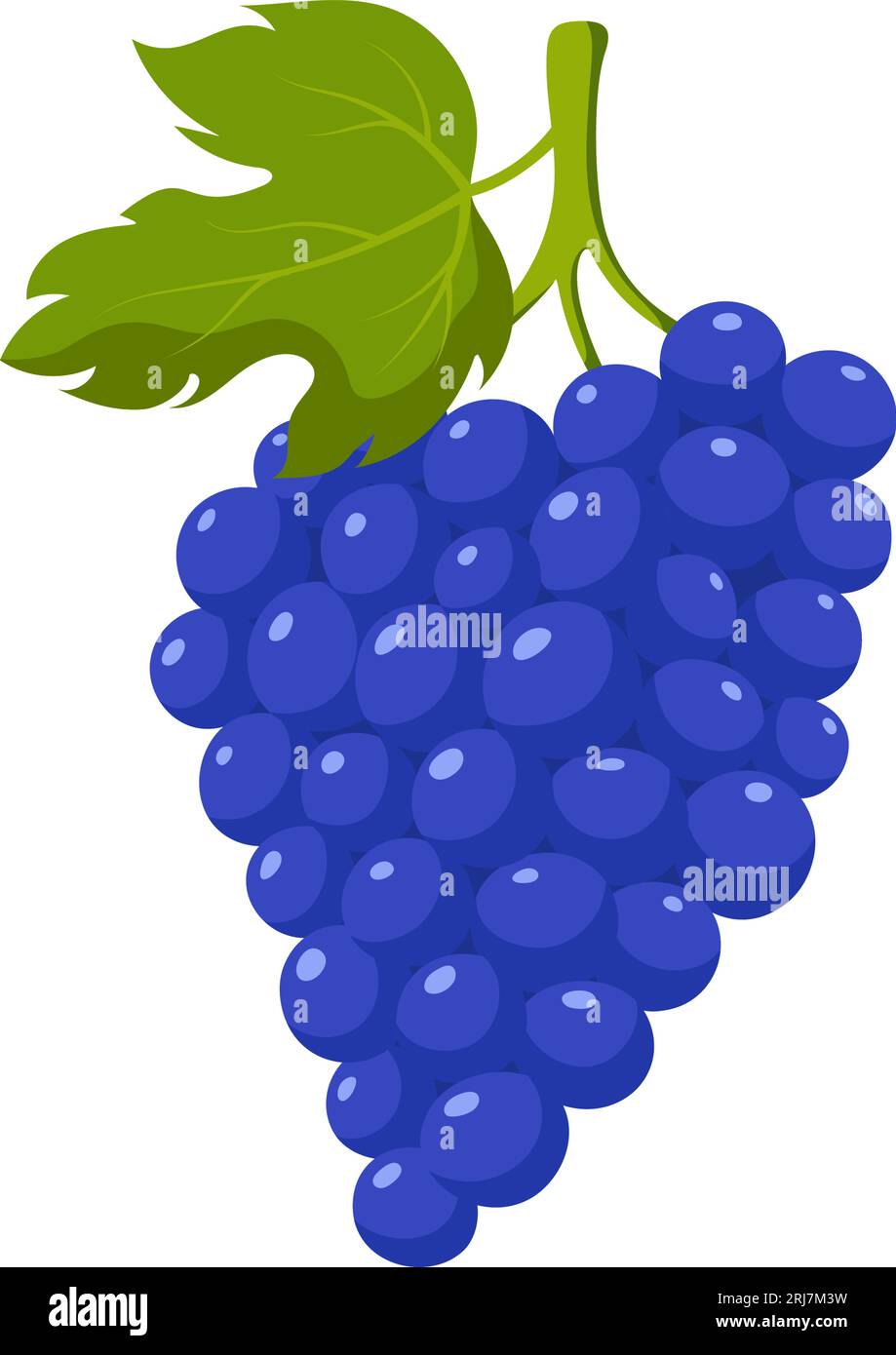 Funny cartoon grape. Cute fruit. Vector food illustration isolated on ...