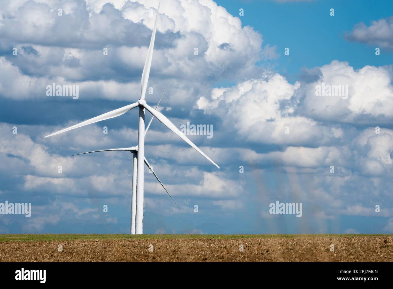 Wind turbines in a field under a blue sky with white clouds Stock Photo ...