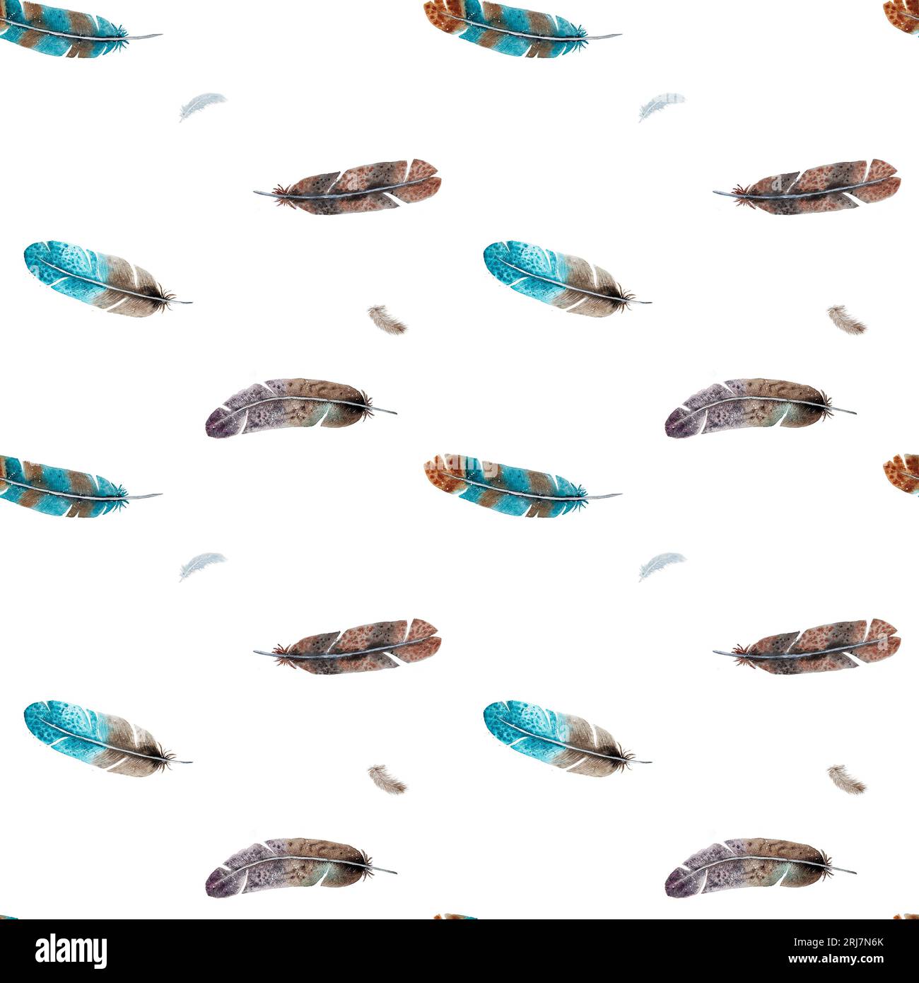 Feathers watercolor painting hi-res stock photography and images - Alamy