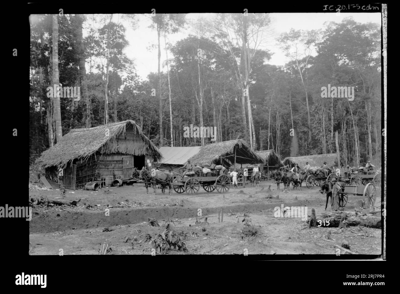 Grupo de Trabalhadores em Acampamento - 315 1910 by Dana B. Merrill Stock Photo