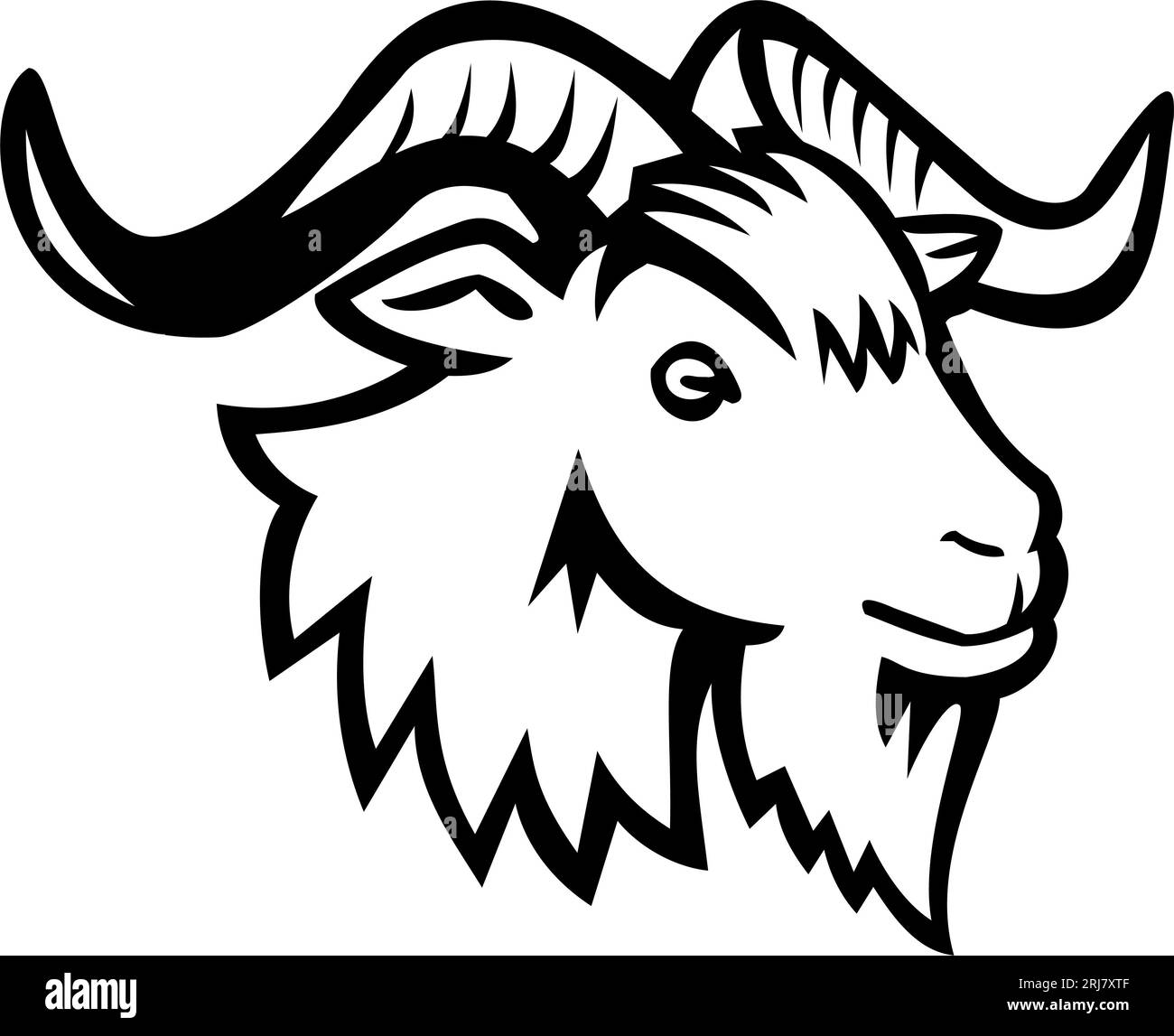 Mascot illustration of head of Juan Fernandez wild goat viewed from the side on isolated background in retro style. Stock Photo