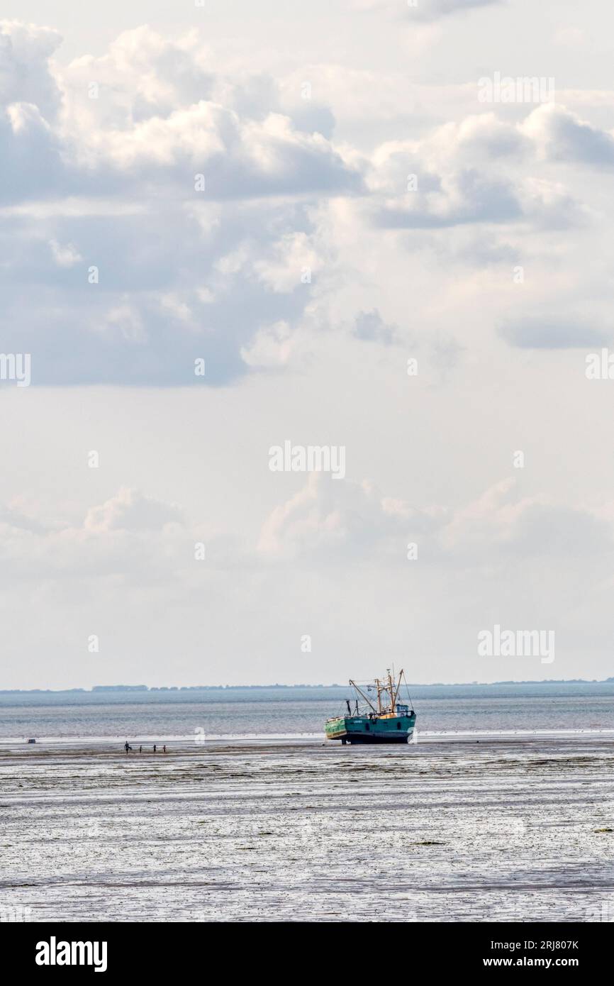 Shellfish boats beached in the Wash to gather cockles at low tide. Boats float off at next high tide. Stock Photo