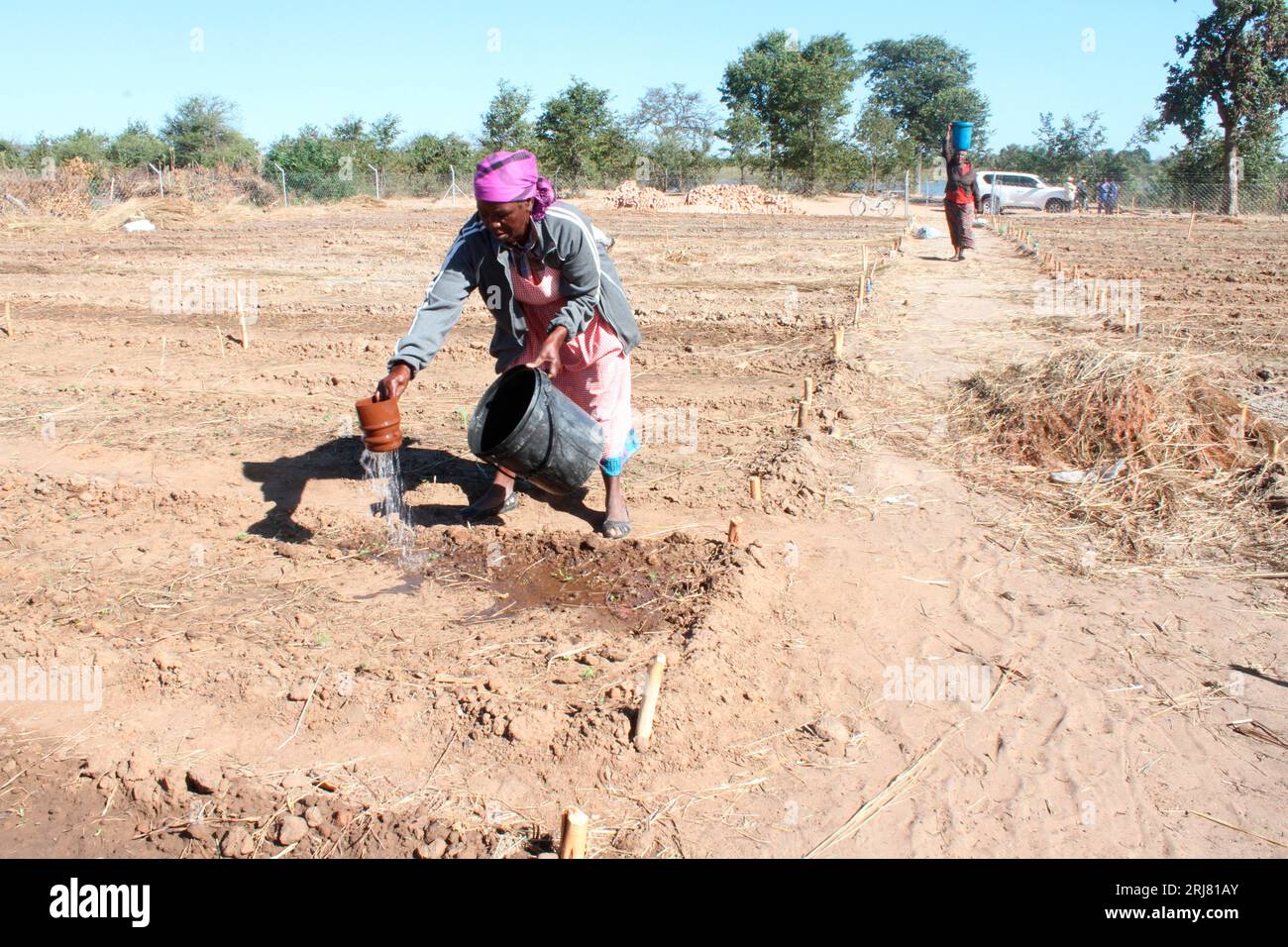 A woman is seen watering her garden. Locals grow crops close to the river for easy watering as the area is semi-arid. Gokwe, Zimbabwe. Stock Photo