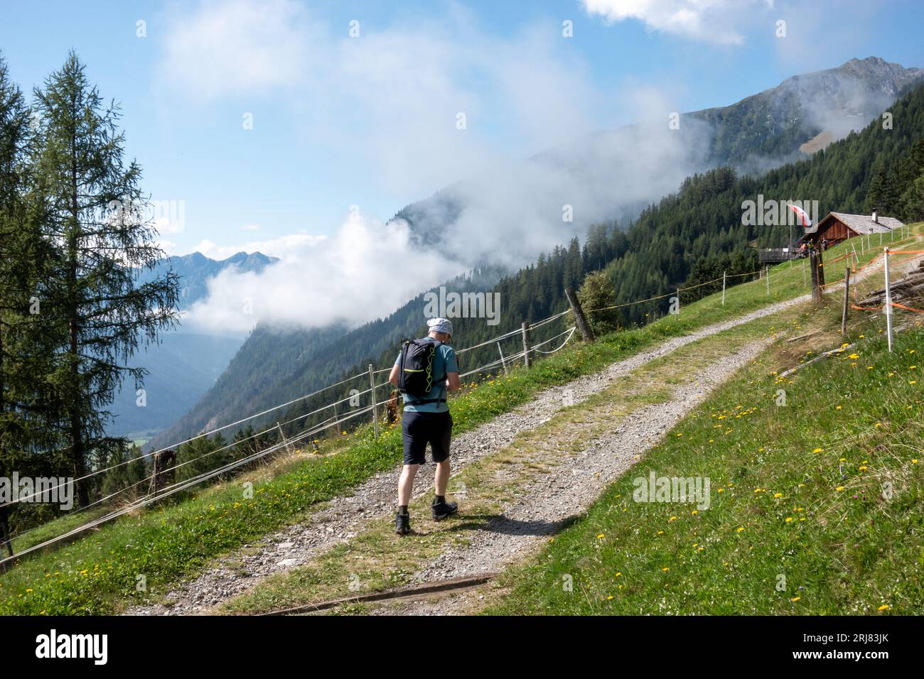 Forest green hiking trekking hi-res stock photography and images - Page 10  - Alamy