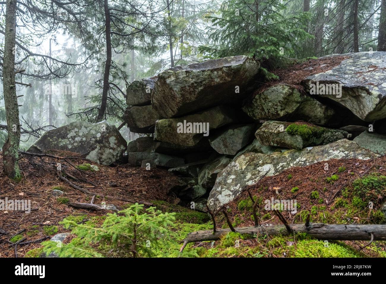 Small stone cave in the forest. Cozy place under the rocks. Shelter made of stones in the forest. Front view. Stock Photo