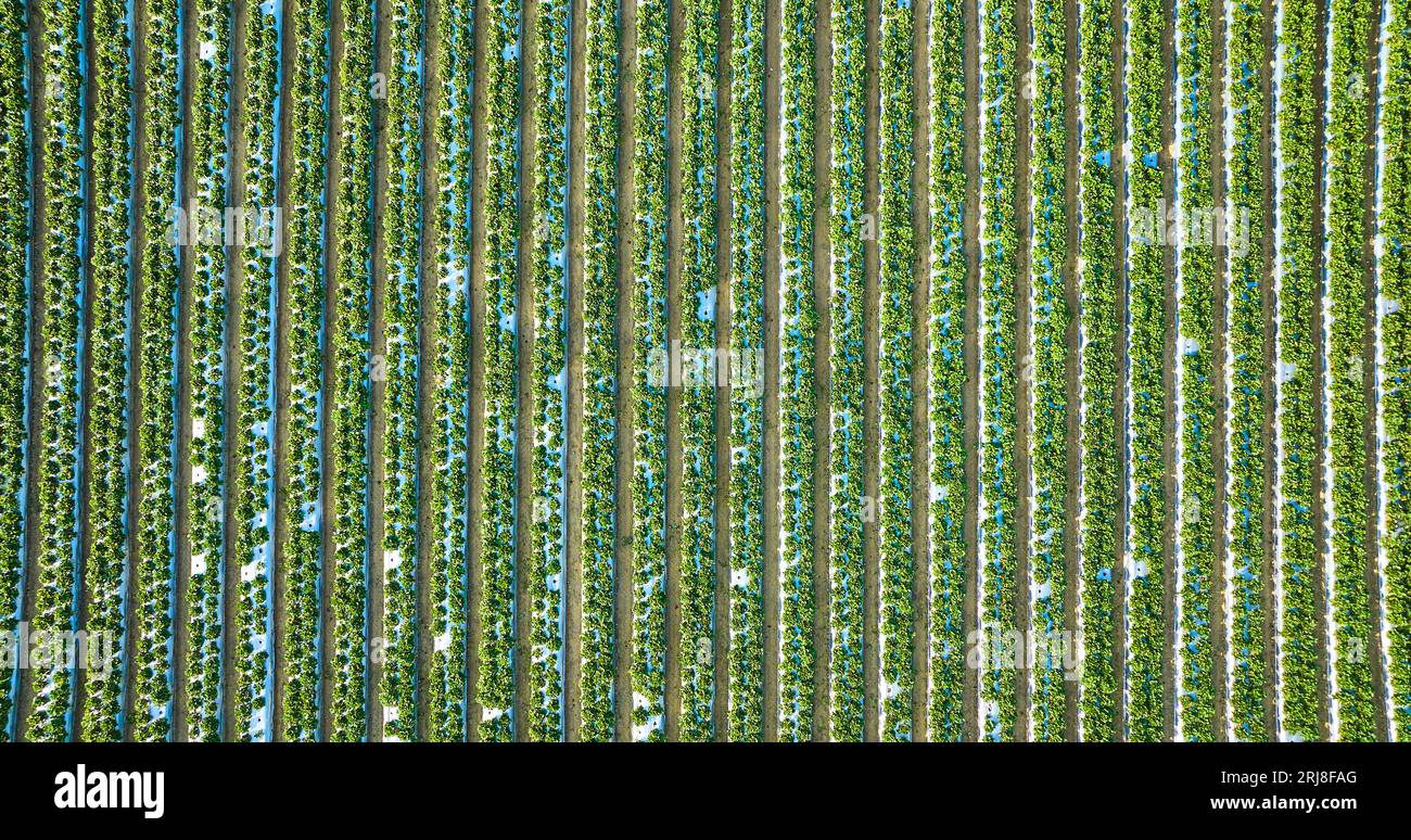 Up down vertical drone view hi-res stock photography and images - Alamy
