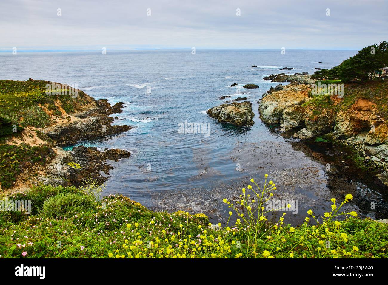 Yellow and purple wildflowers on cliff overlooking small cove with