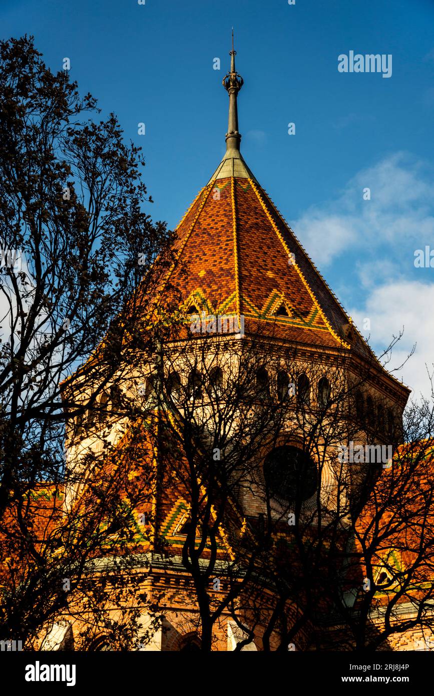 Pyramidal roof of Neo-gothic Buda Calvinist Church Budapest, Hungary. Stock Photo