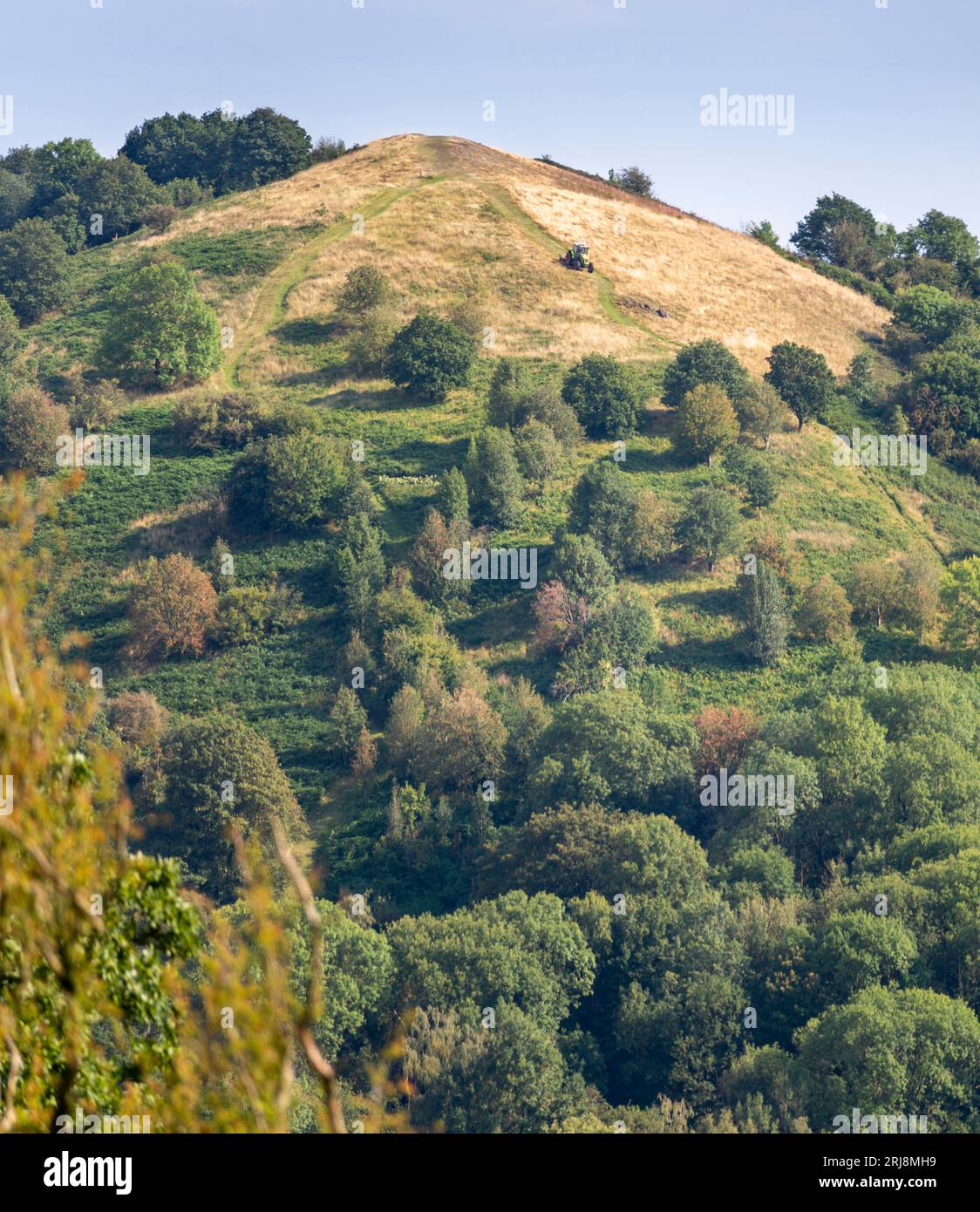 On a sunny summer afternoon,farmer's tractor moves slowly down the pointed hill, at an area of natural beauty.Malverns popular with hiking,picnics,dog Stock Photo