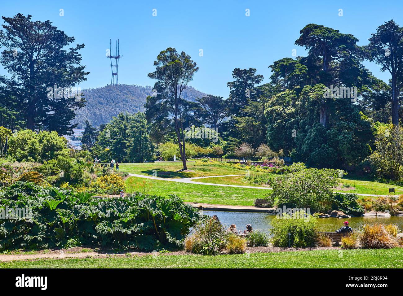 Botanical Gardens, Park Details