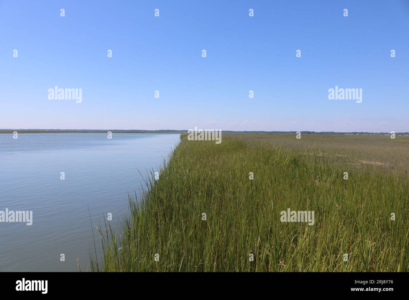 The untouched, preserved saltmarshes of Virginia, USA. Stock Photo