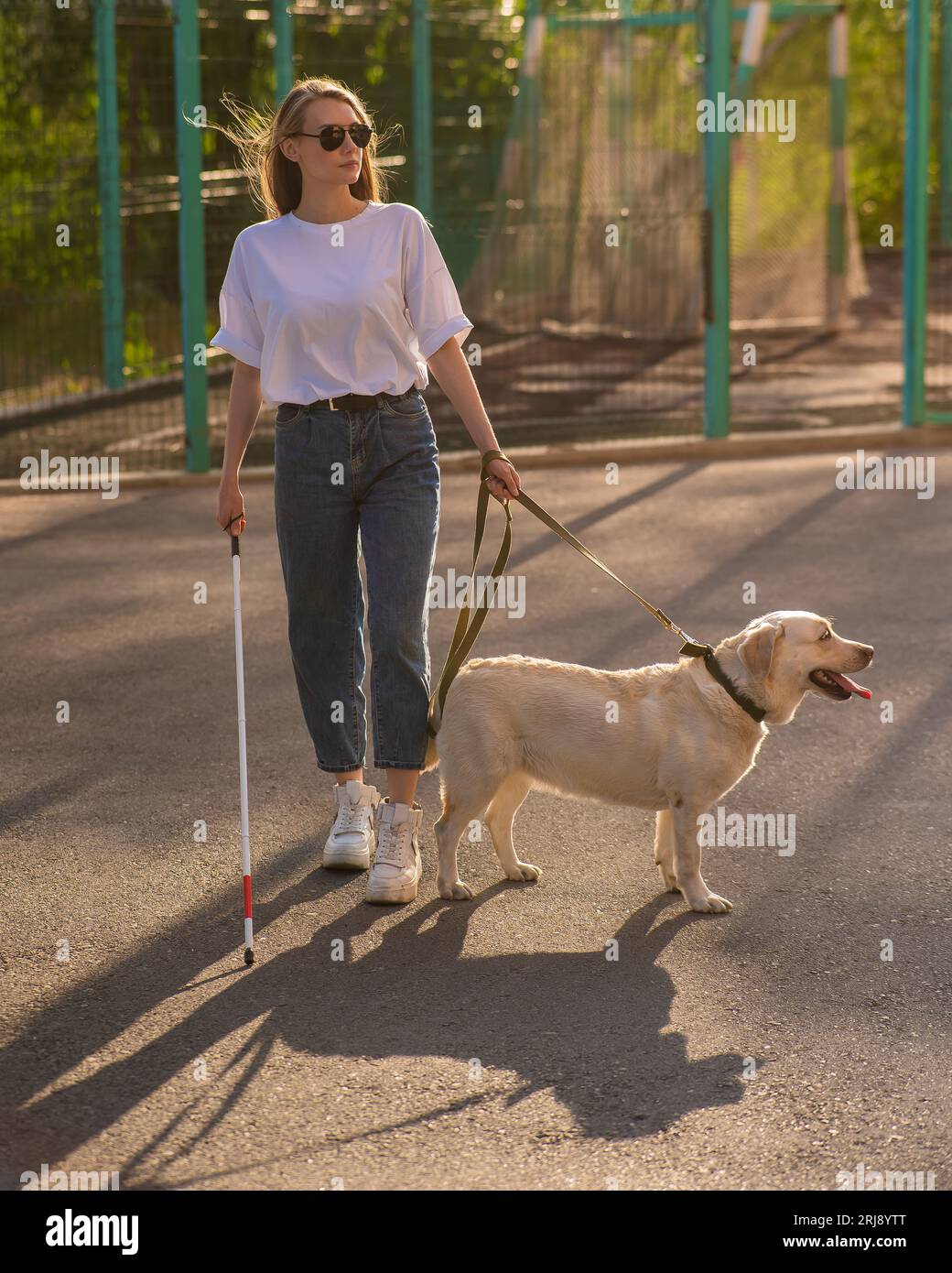 Blind woman walking with guide dog Stock Photo - Alamy