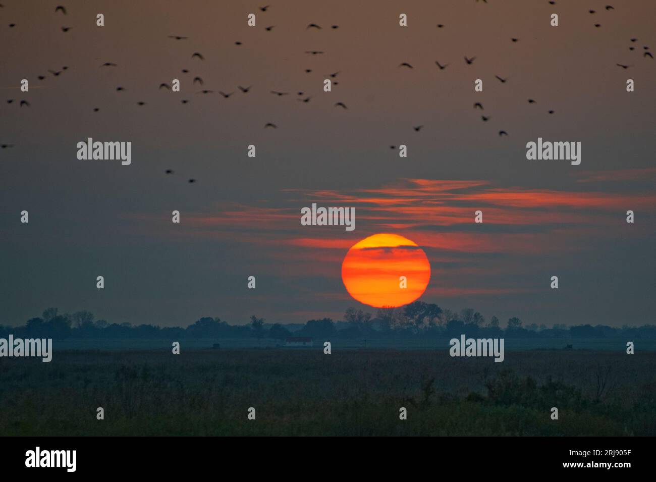A flock of birds soaring through the sky in front of a beautiful ...