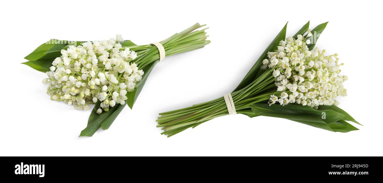 Beautiful lily of the valley flowers with green leaves. Bouquets on ...