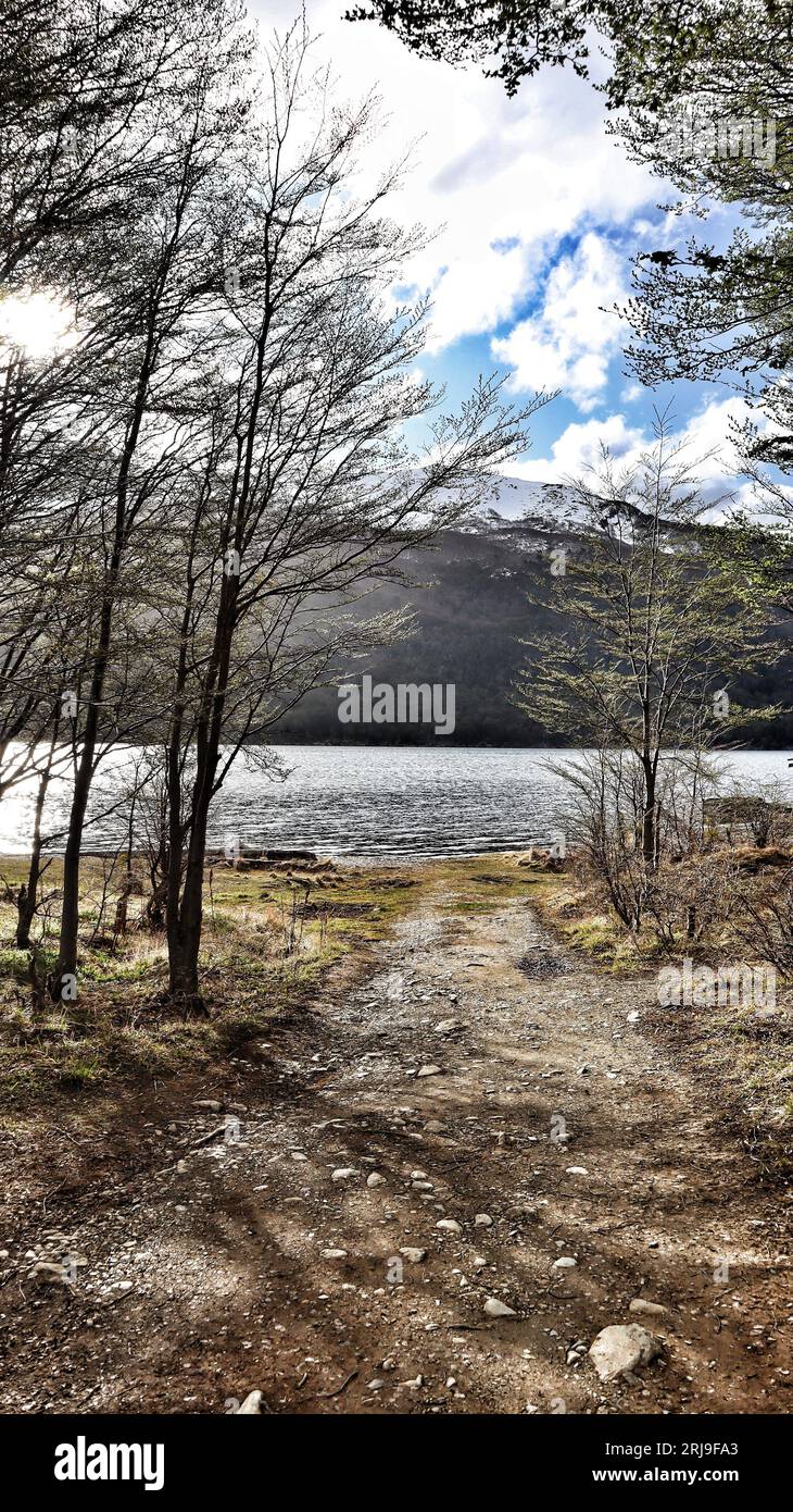 An idyllic landscape featuring a dirt path winding its way through lush ...