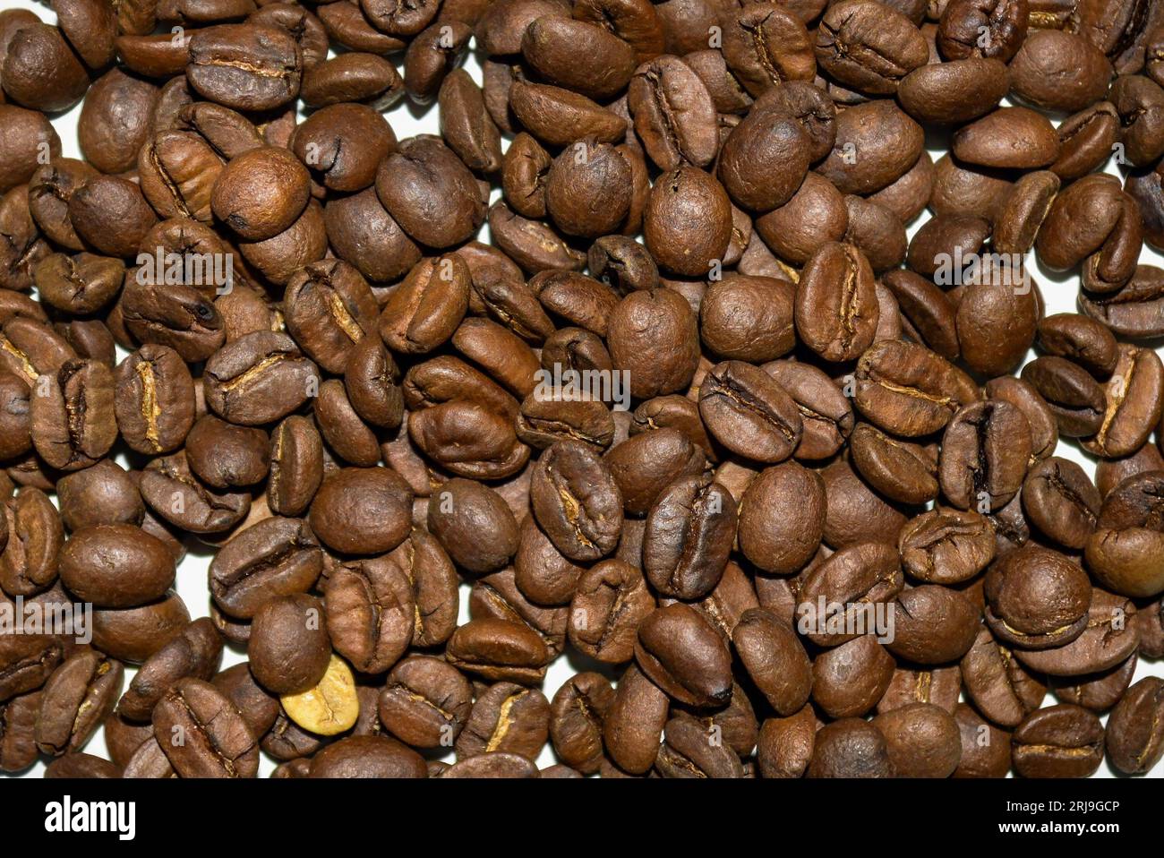 Coffee beans isolated on white background Stock Photo - Alamy