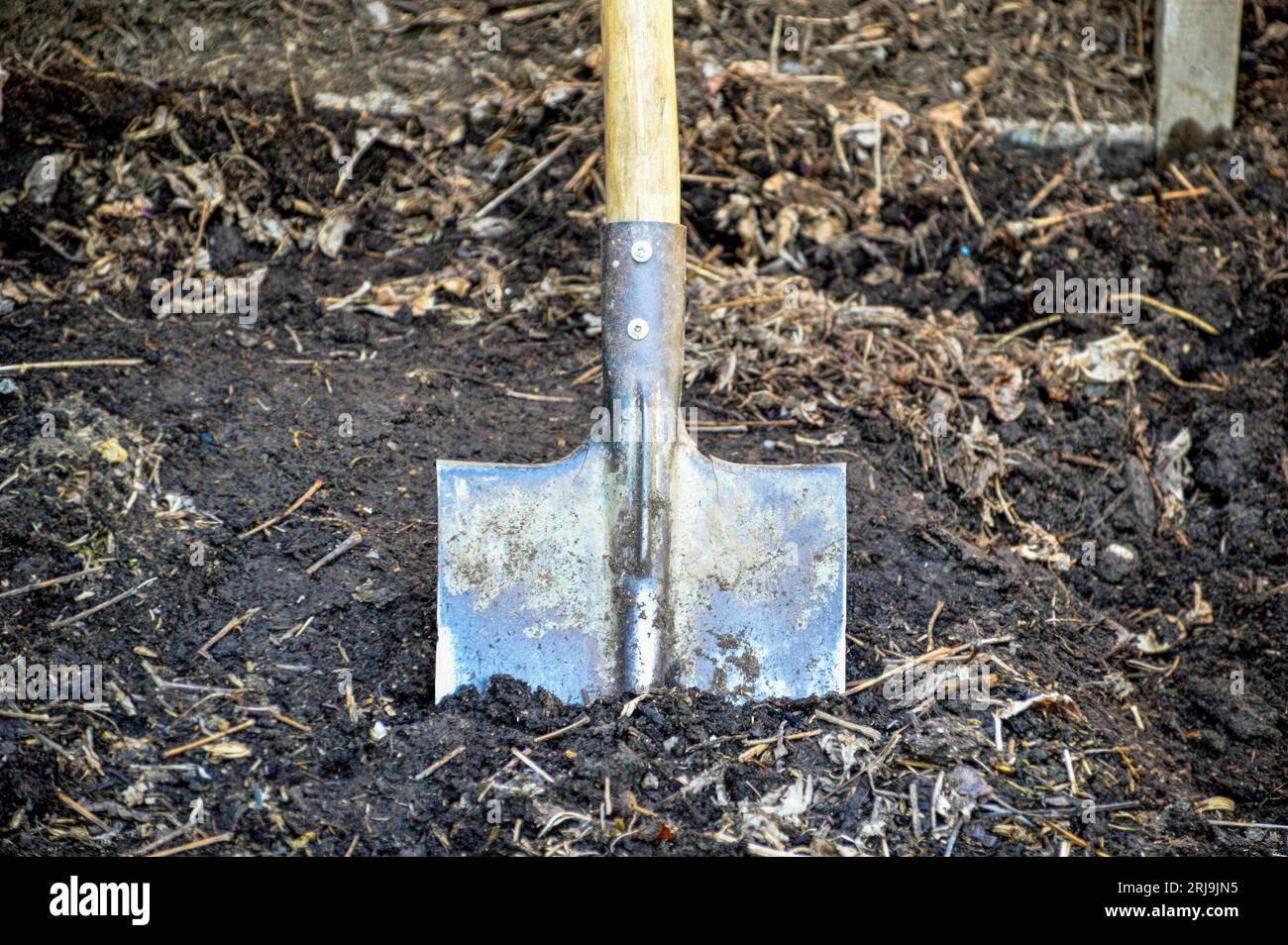 Shovel stuck in the ground. gardening time, spring Stock Photo