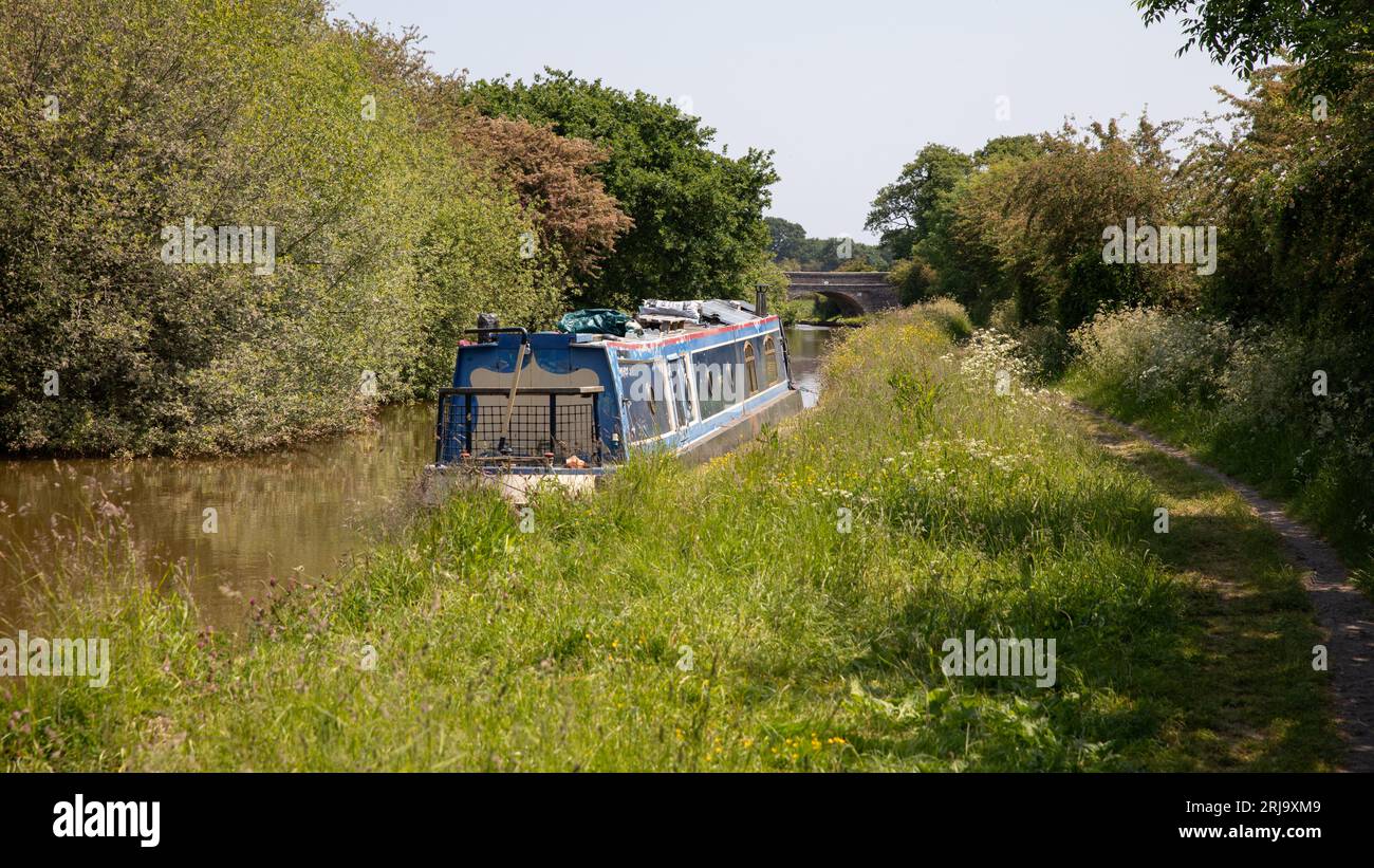 Urban landscape looking at a narrow boat moored by the side of a canal. The tow path is overgrown and unkempt. There are no people and space for text Stock Photo