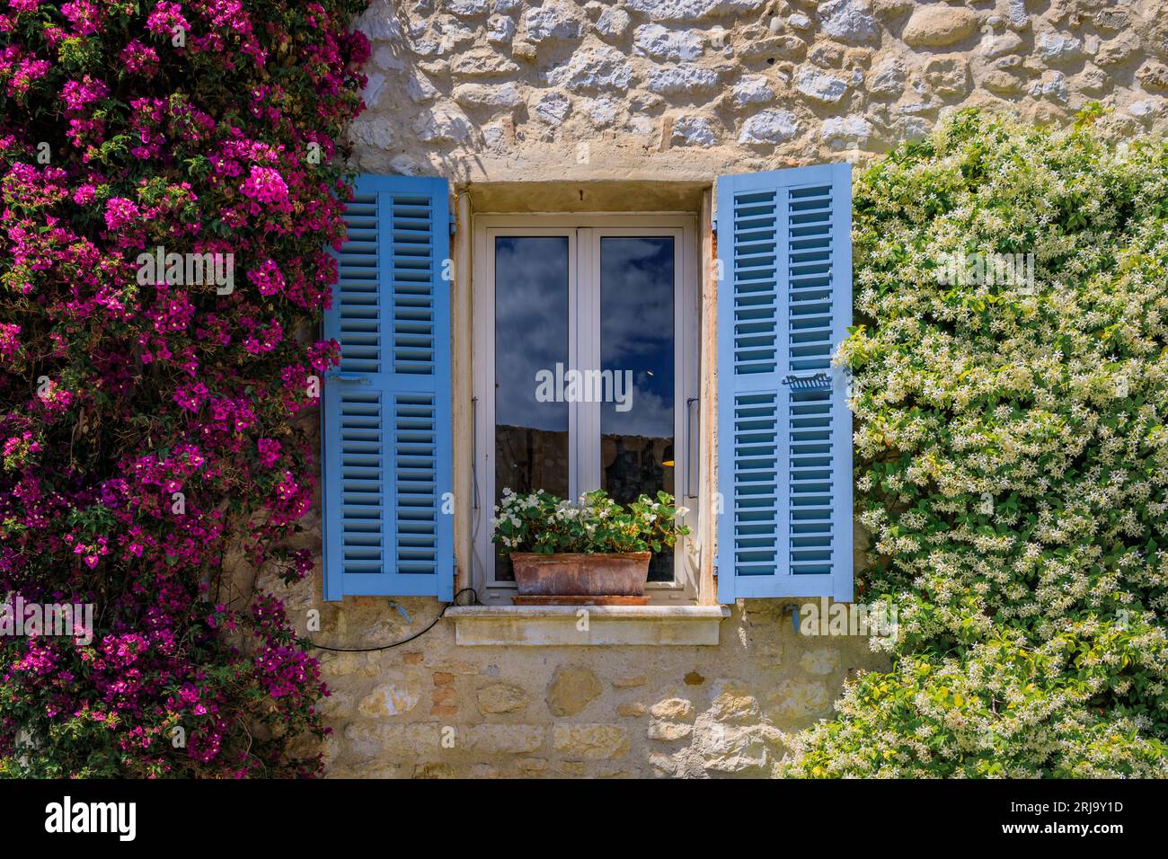 Bougainvilia and jasmine flower vines framing an old stone house window in the medieval town of Saint Paul de Vence, French Riviera, South of France Stock Photo