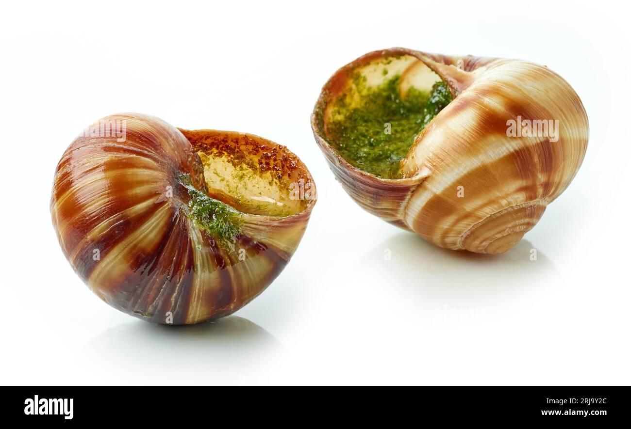 escargot snail filled with garlic and parsley butter isolated on white