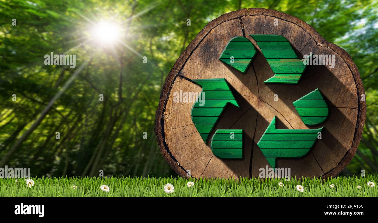 Sustainable Resources and Zero Waste concept. Cross section of a tree