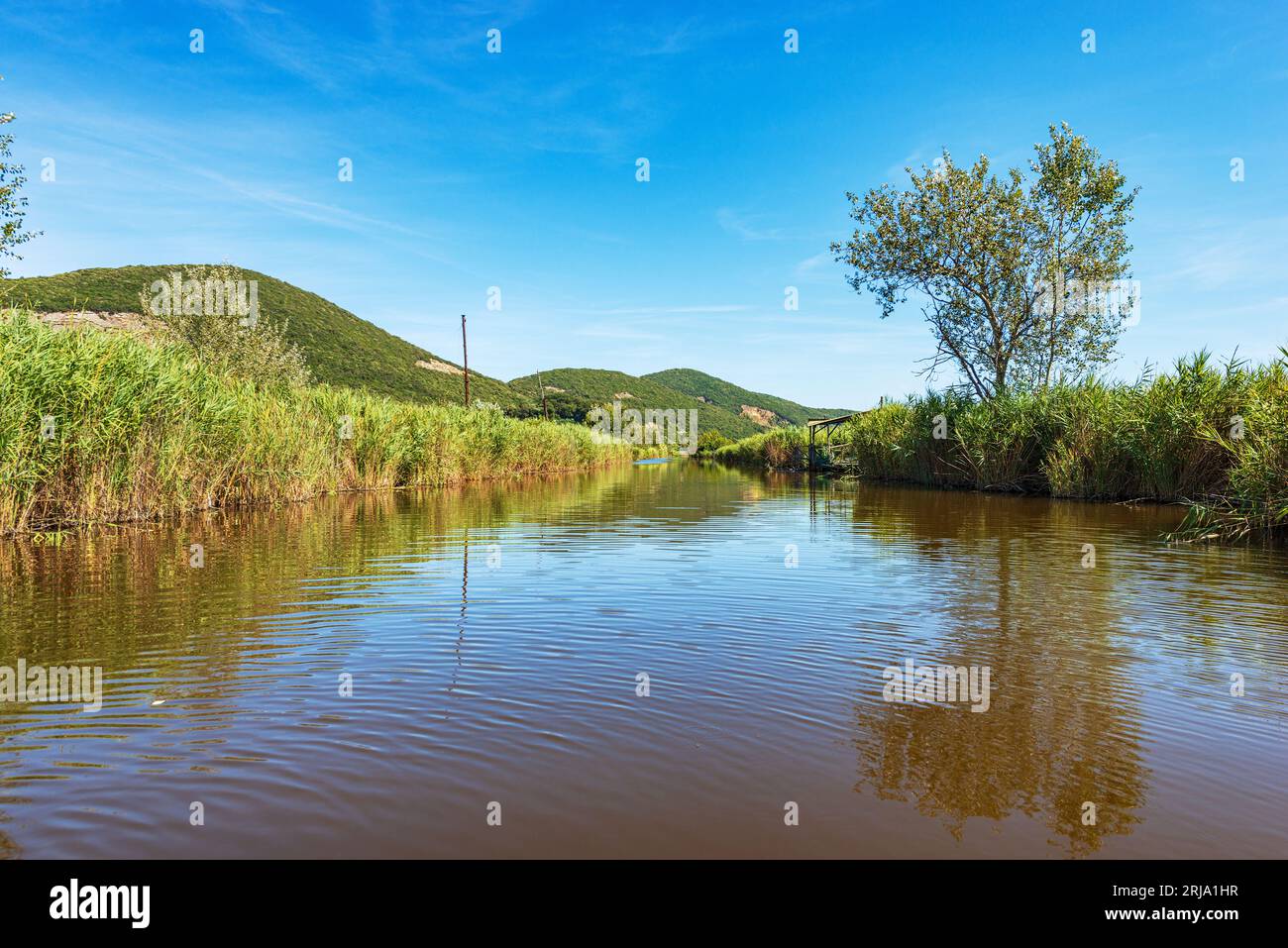 Massaciuccoli lake lago di hi-res stock photography and images - Alamy