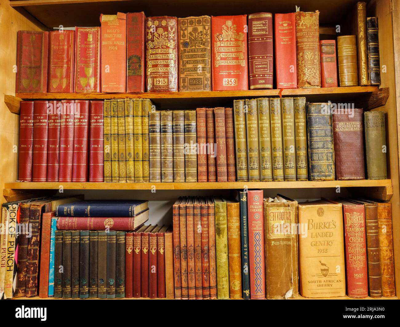 shelves of old books Stock Photo