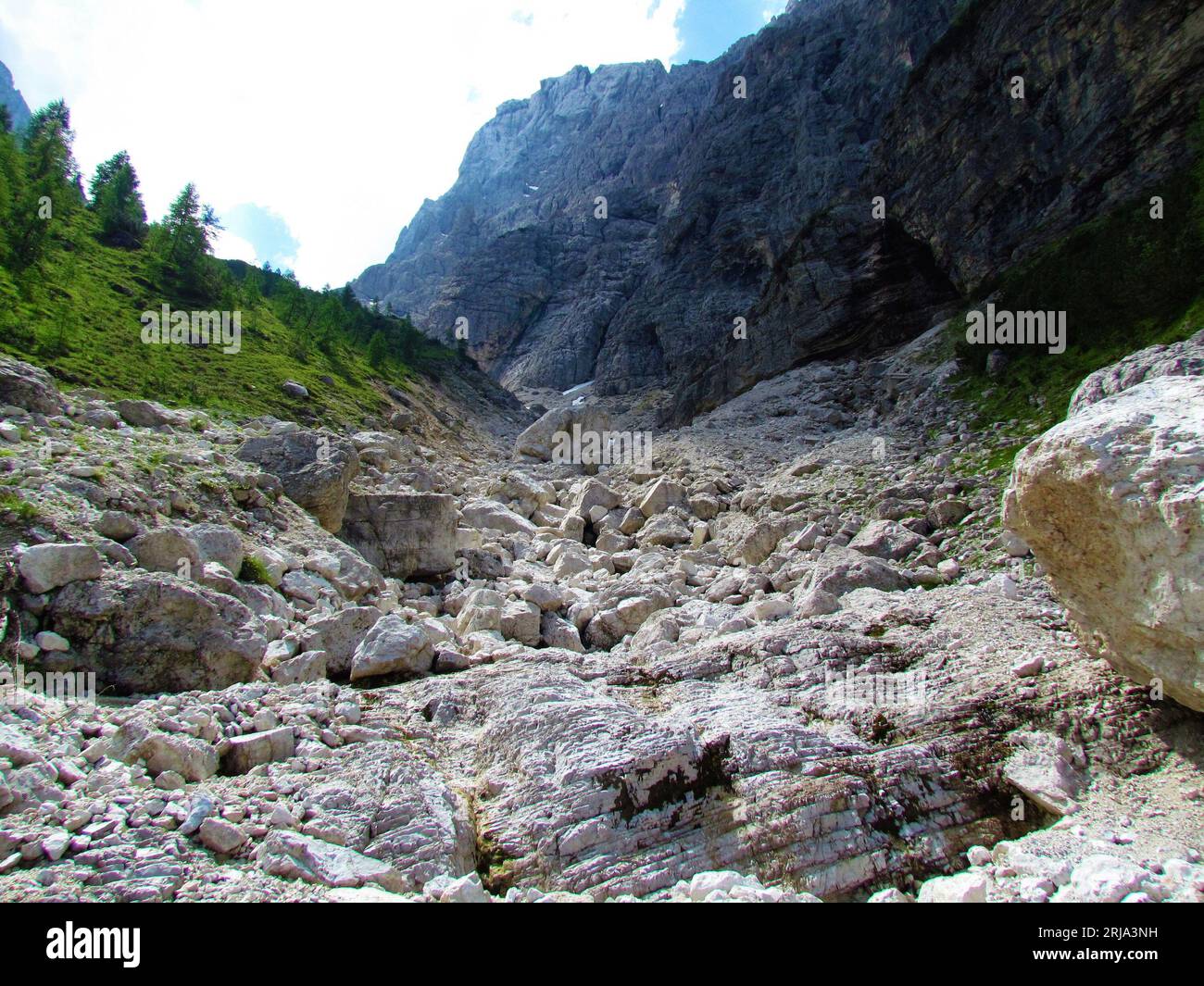 Alpine landscape with large boulders and glacial erratics in Krnica ...