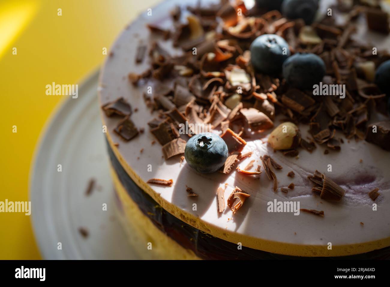 Delicious blueberry cake with chocolate chip on the top. Stock Photo