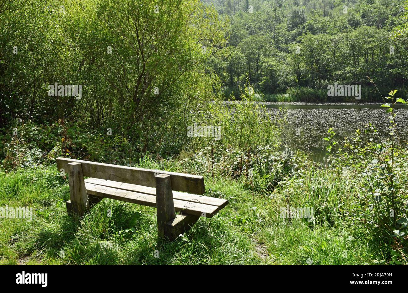 Cwm clydach pond hires stock photography and images Alamy