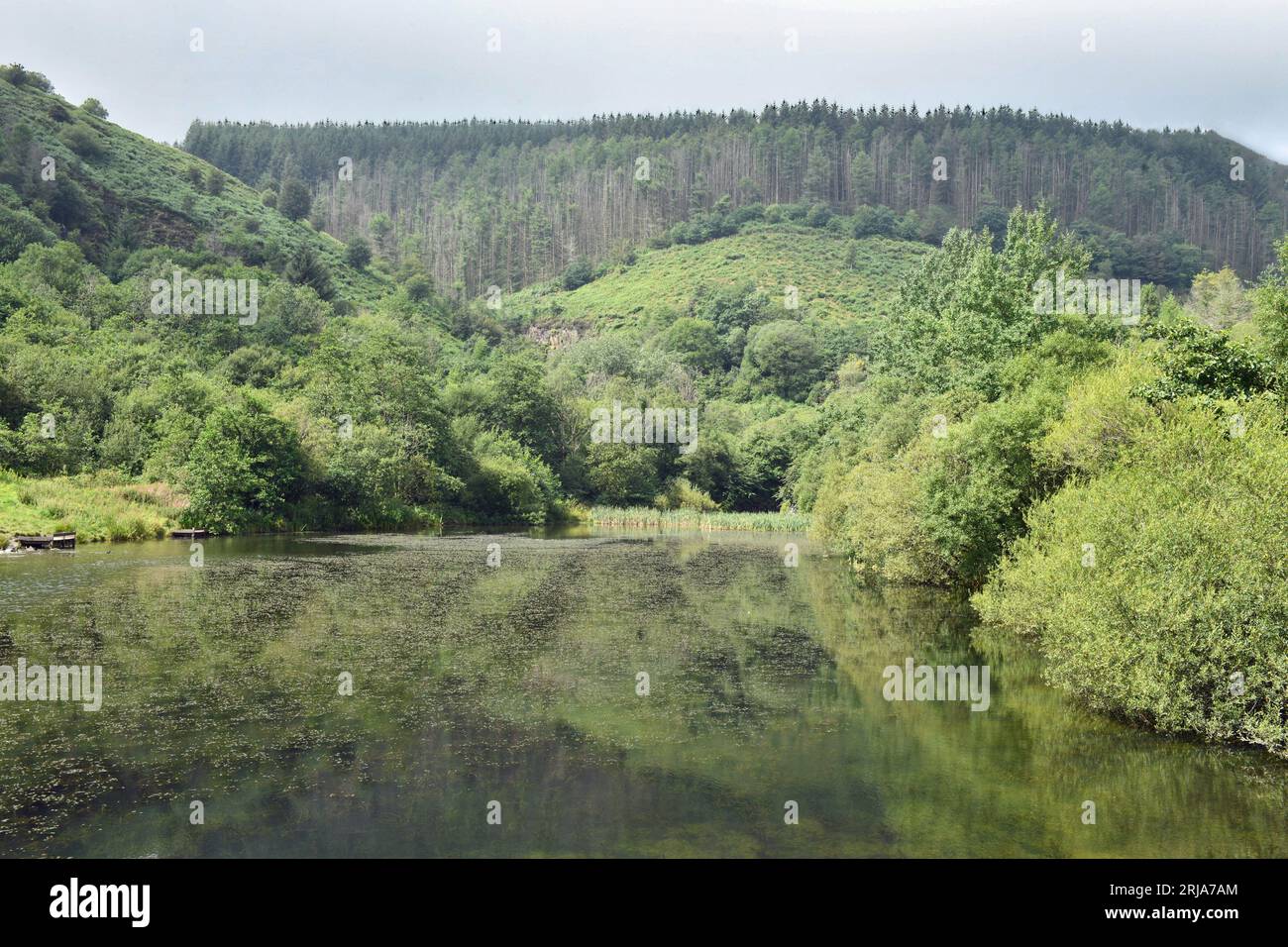 The lake at Cwm Clydach Countryside Park Clydach Vale off the  Rhondda Valley in South Wales with not only hills and trees everywhere but a footpath Stock Photo