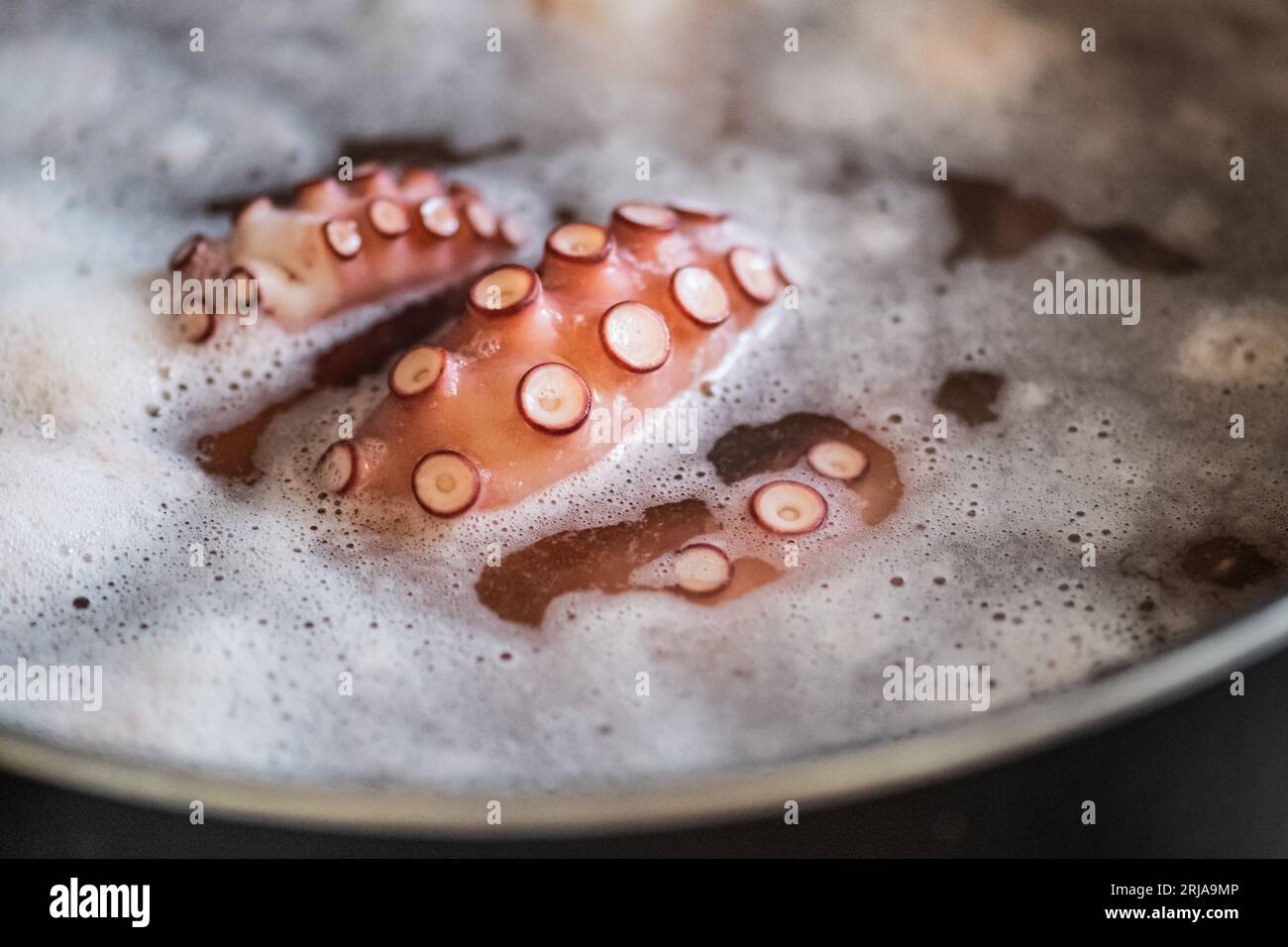 Tentacles octopus hi-res stock photography and images - Alamy
