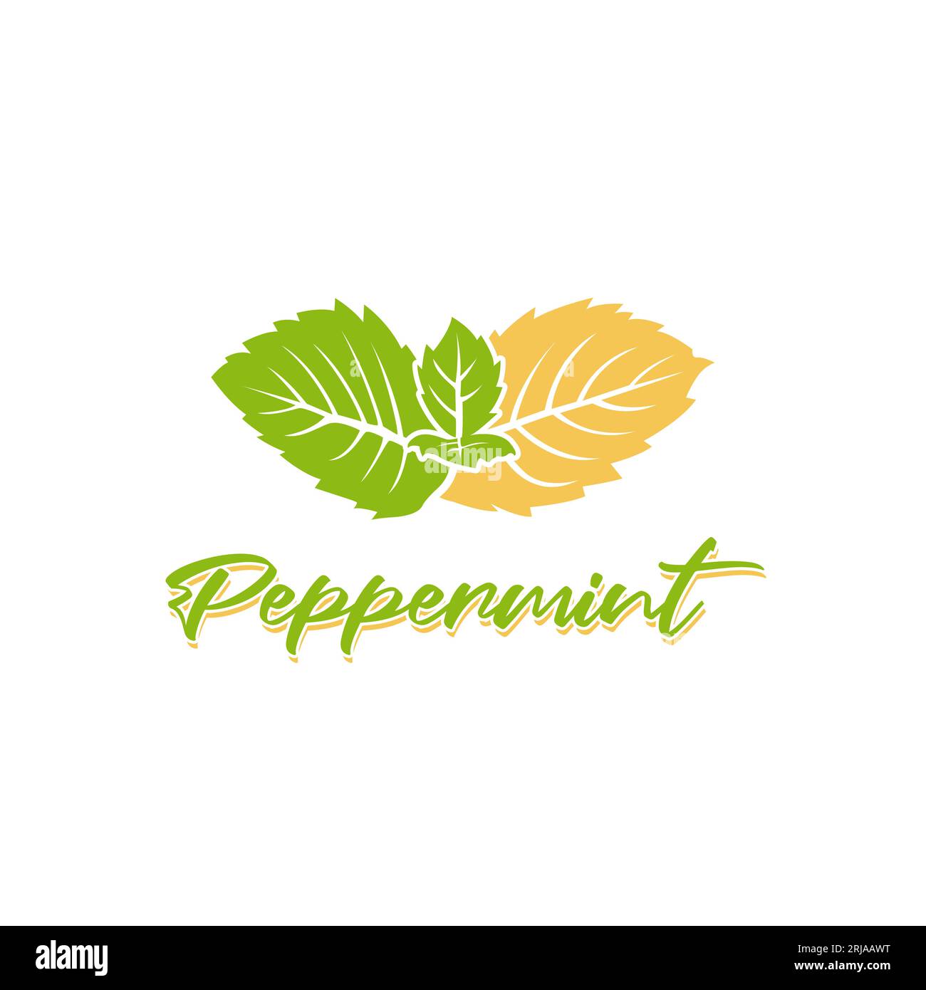 Peppermint Mint leaves logo design inspiration Stock Vector