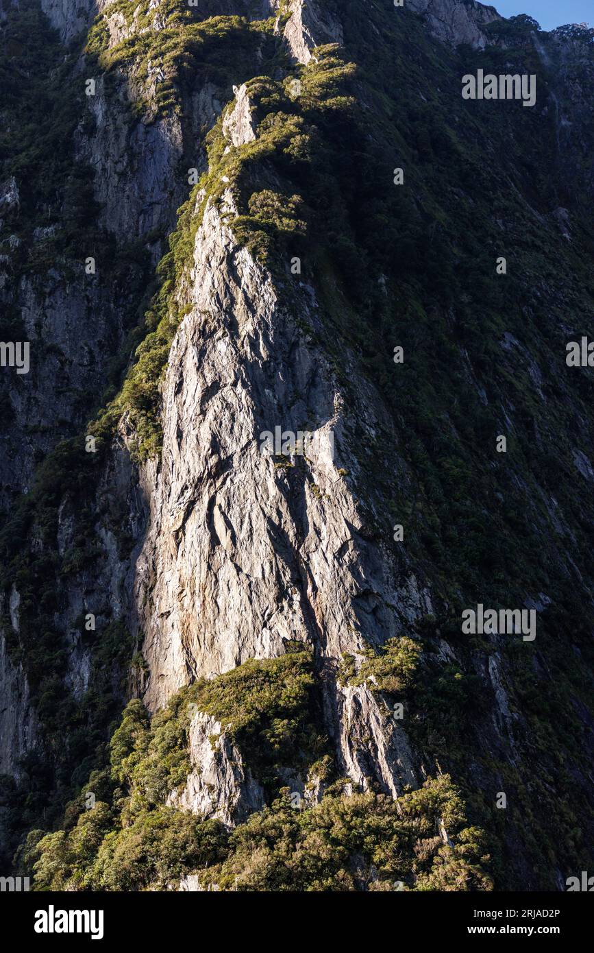 A photo taken in the Milford Sounds of New Zealand. It contains a rugged cliffside some of which is in the light and the rest of it is in shadow Stock Photo