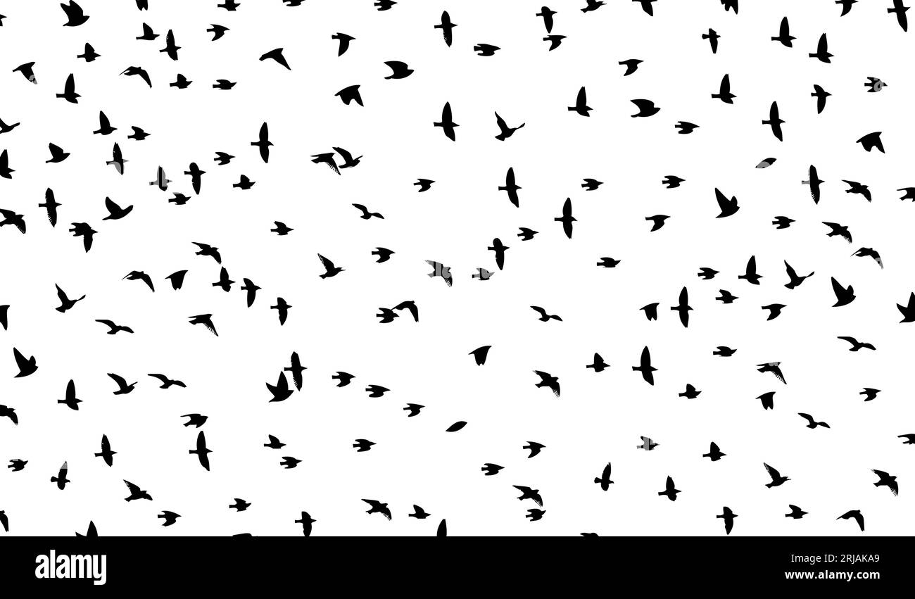 Flying birds silhouette flock. Vector illustration Stock Vector Image ...