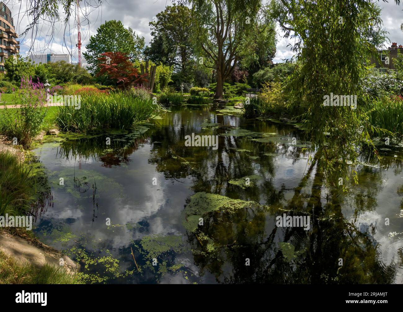 The Japanese Garden at Hammersmith Park in West London, UK Stock Photo