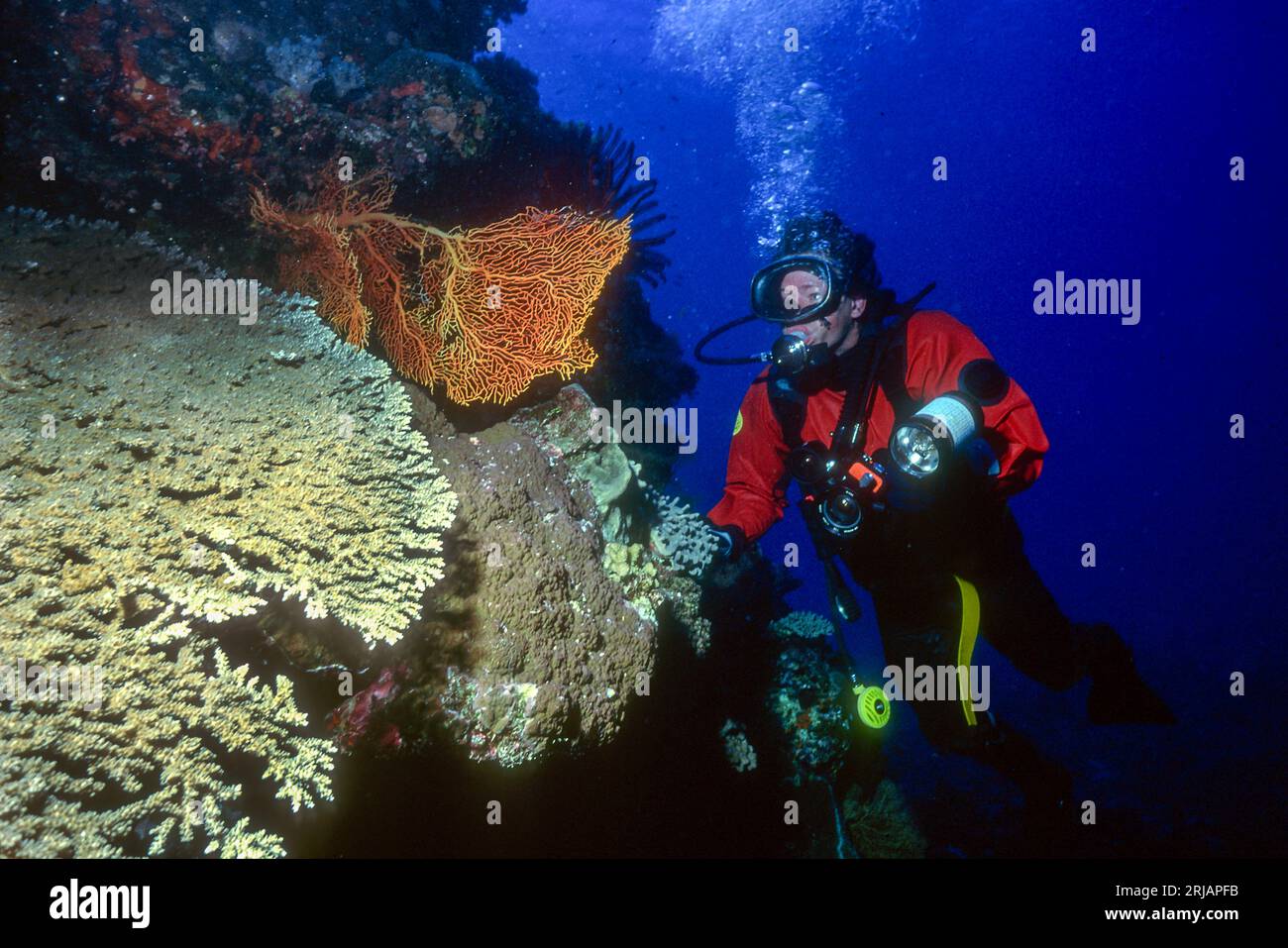 Scuba diving at Myrmidon Reef, Great Barrier Reef, Australia Stock Photo Alamy