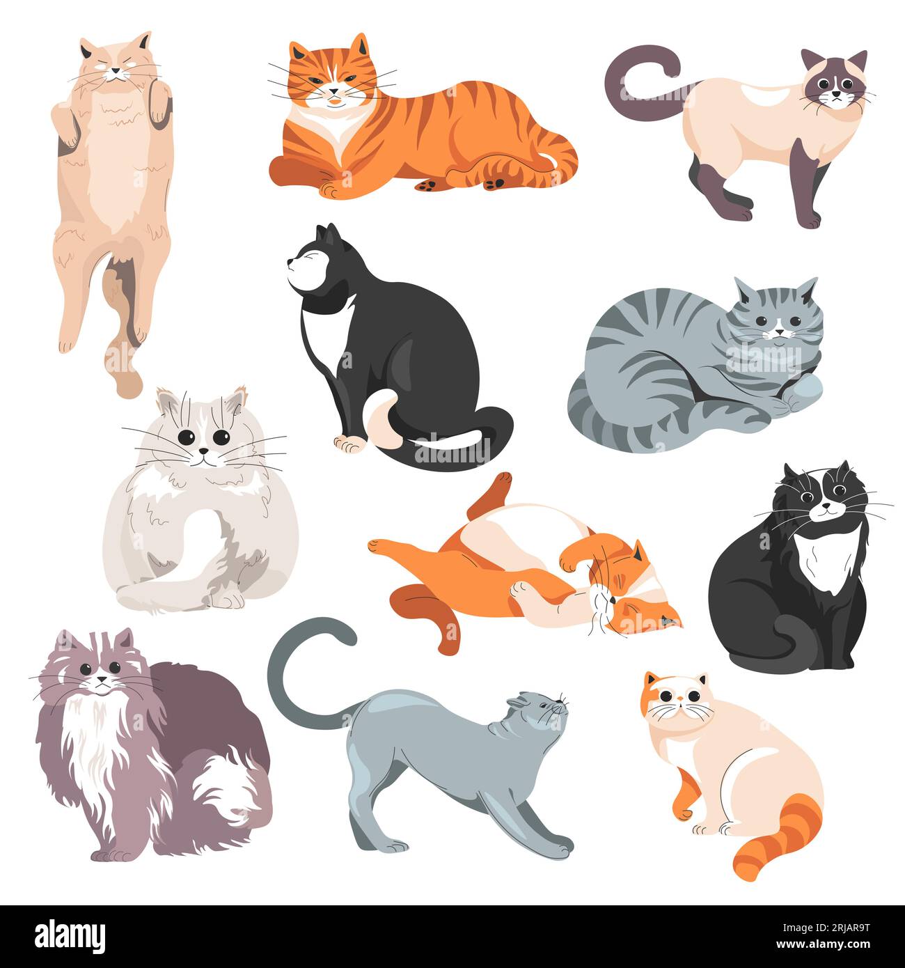 Cats breeds, furry feline animals kittens vector Stock Vector
