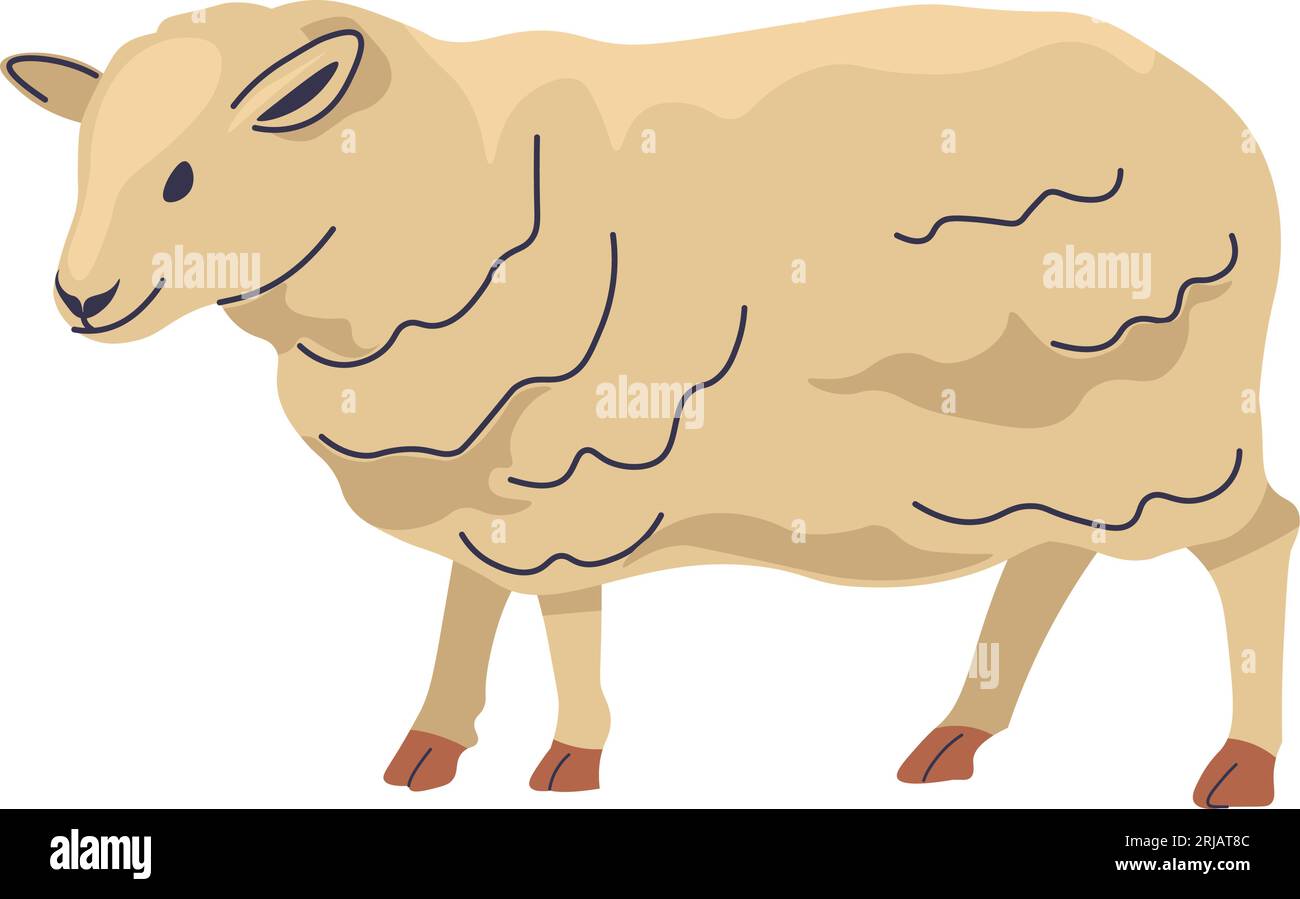Sheep farm animal, production of wool and meat Stock Vector Image & Art