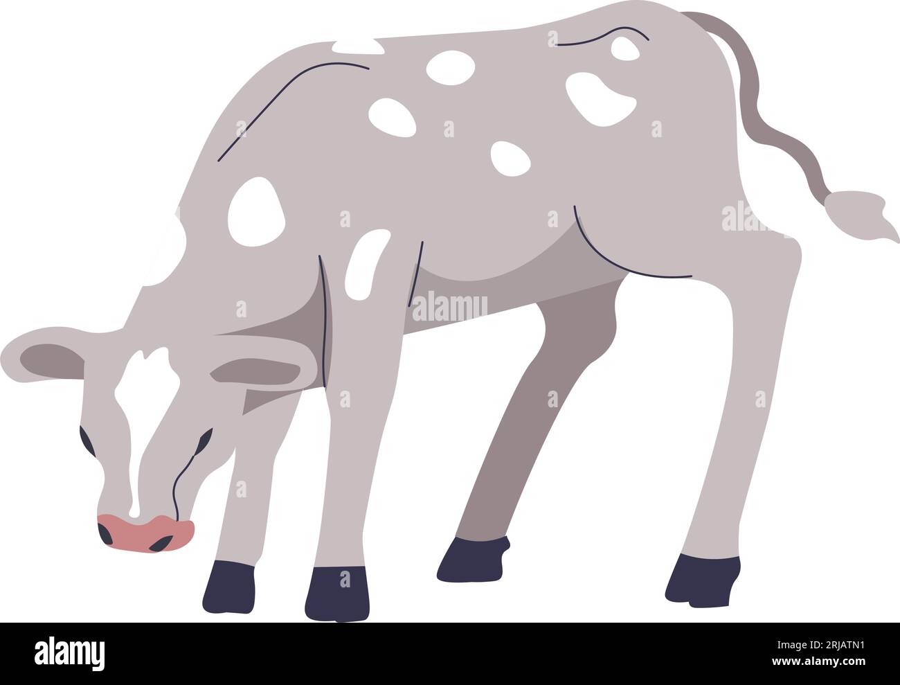 Calf breeding at farm, agriculture cattle growing Stock Vector Image & Art Alamy