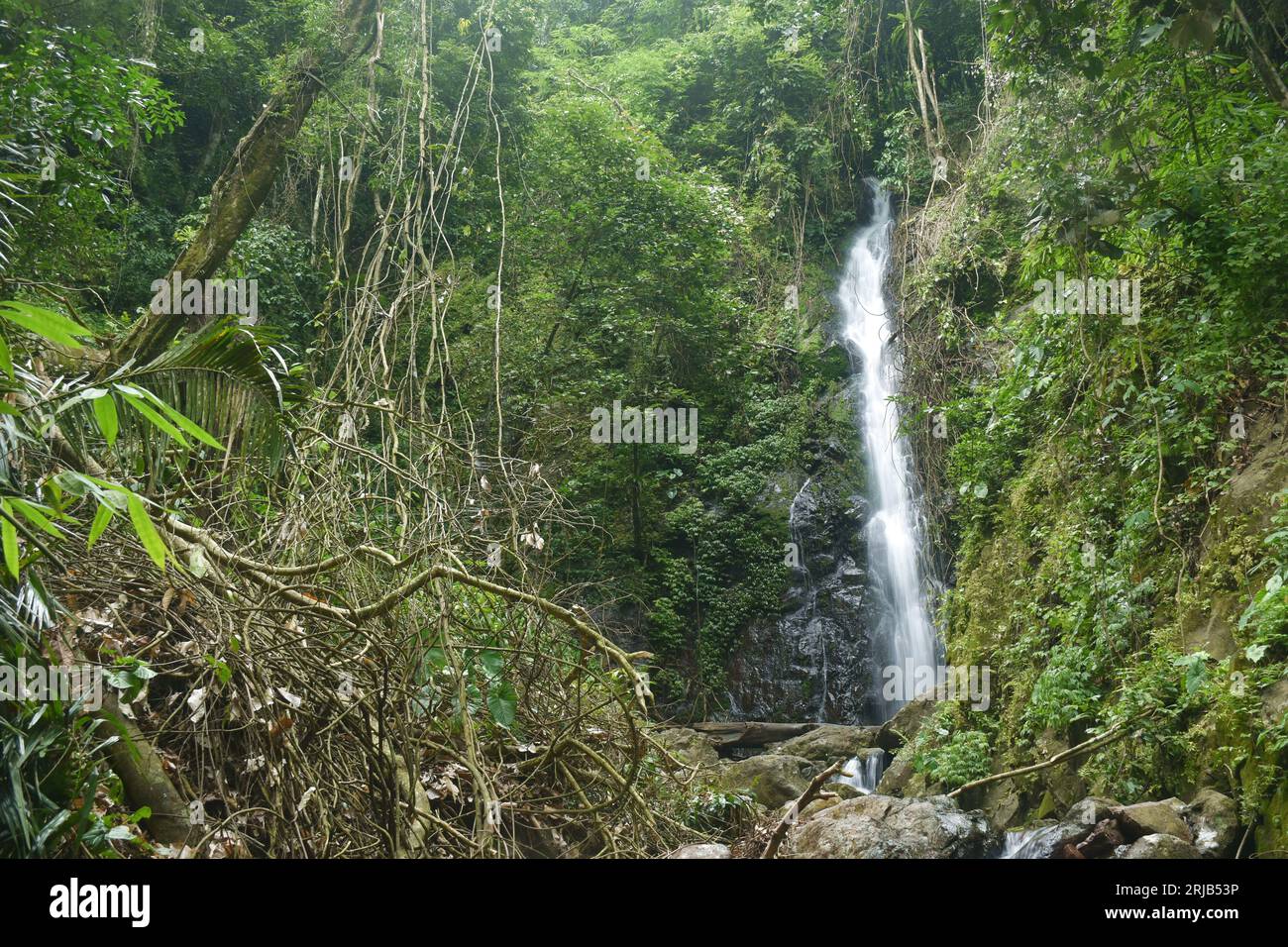 water falling on river pass rock and stone at Pha Gnam Gnon waterfall ...