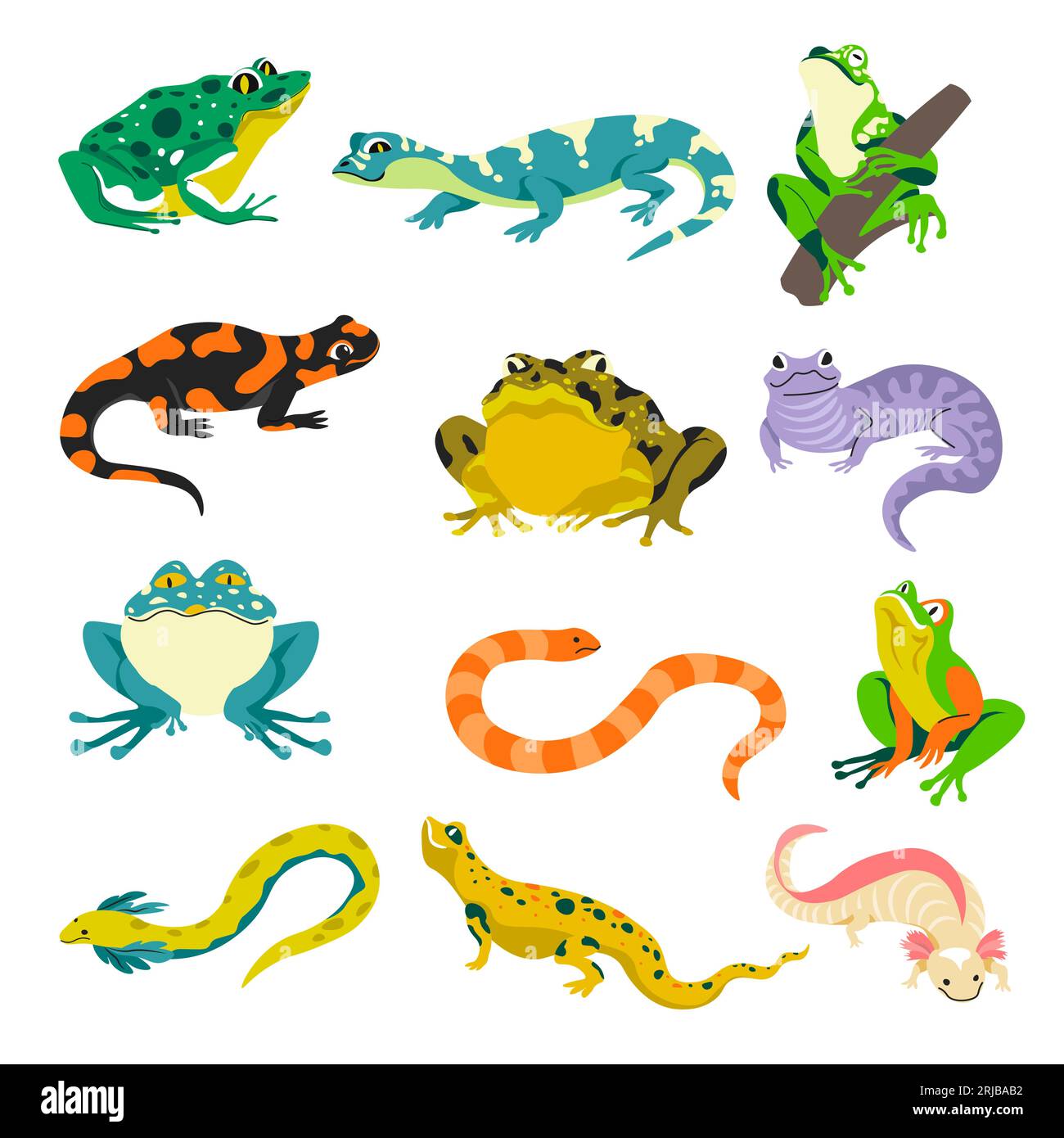 My Image 27