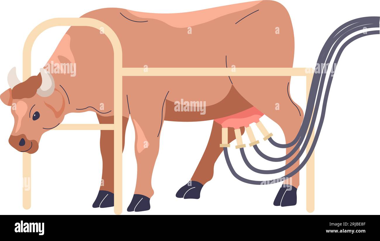 Cows with machine for milking, farming vector Stock Vector