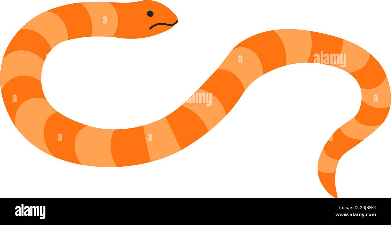 Snake reptile animal, amphibian creature vector Stock Vector Image