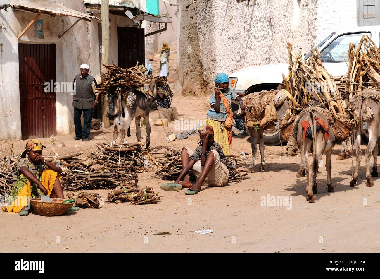 Firewood sale in Harare market. Hararghe, Harari Region, Ethiopia. Stock Photo