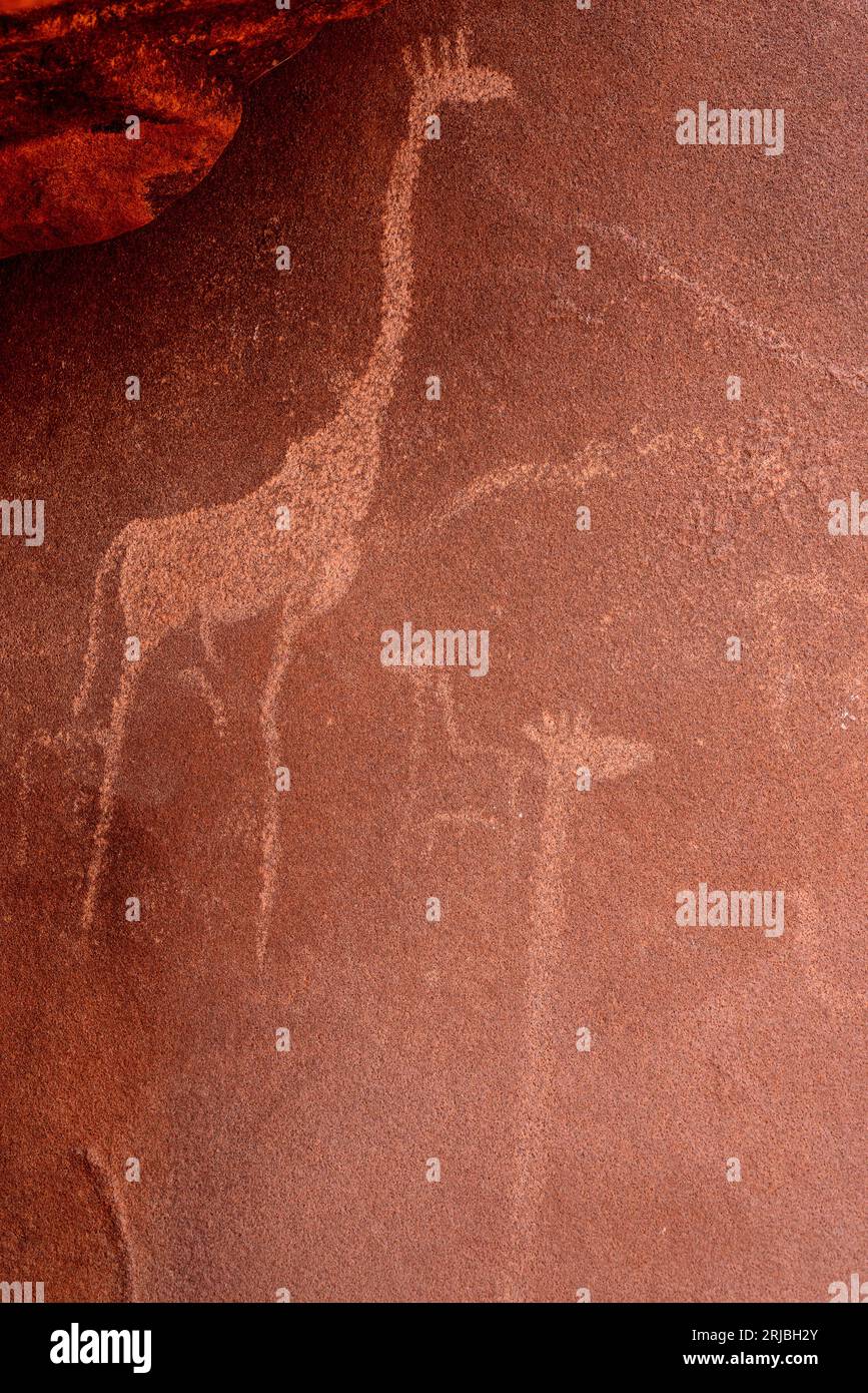 Petroglyphs, animal figures engraving on sandstone rock. Is a World ...