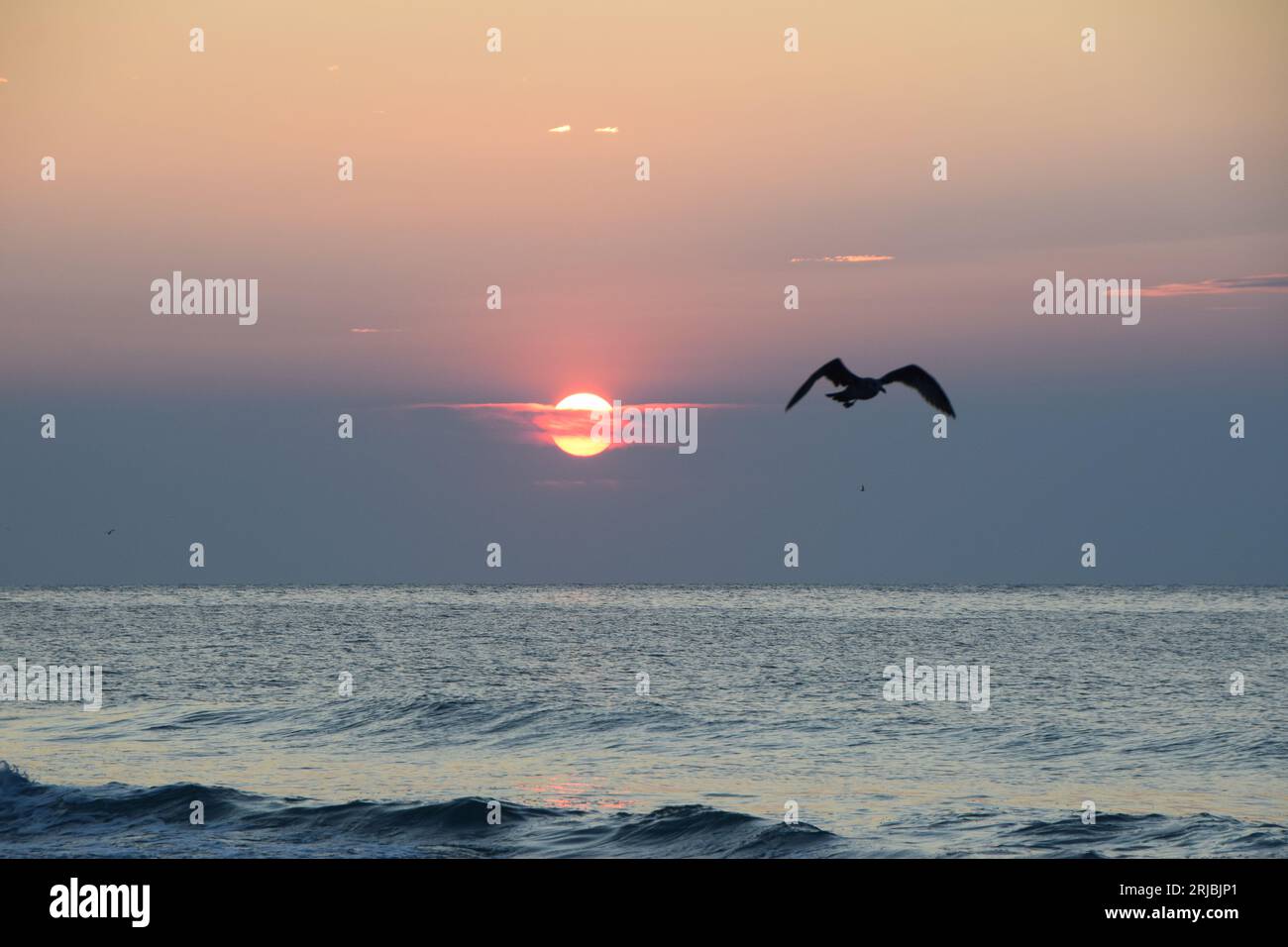 Beach Haven LBI Sunrise Stock Photo Alamy